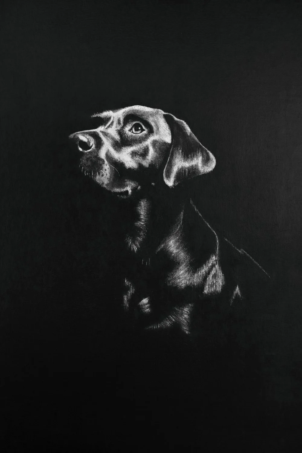 'Alfie' (2024), acrylic on canvas board