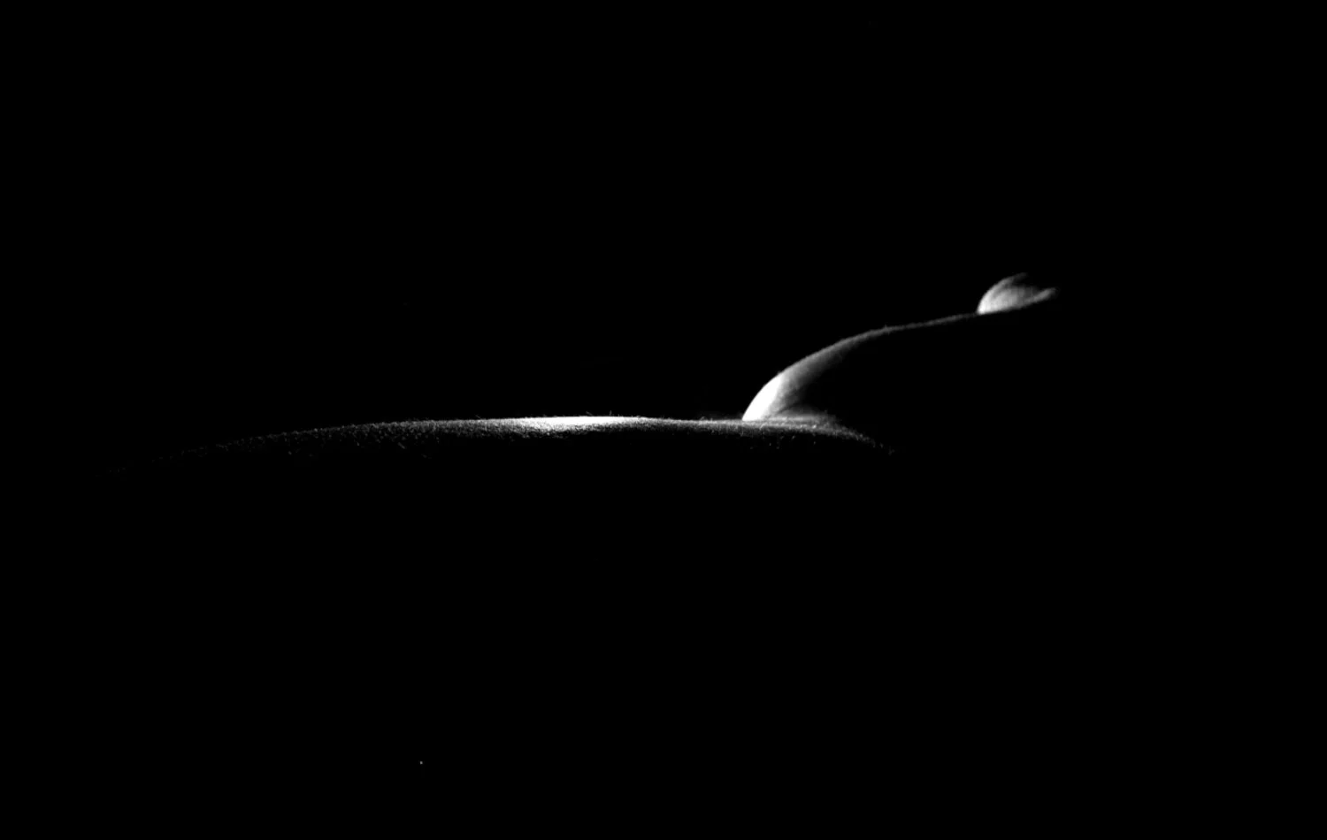 Hidden Figures #6.jpg