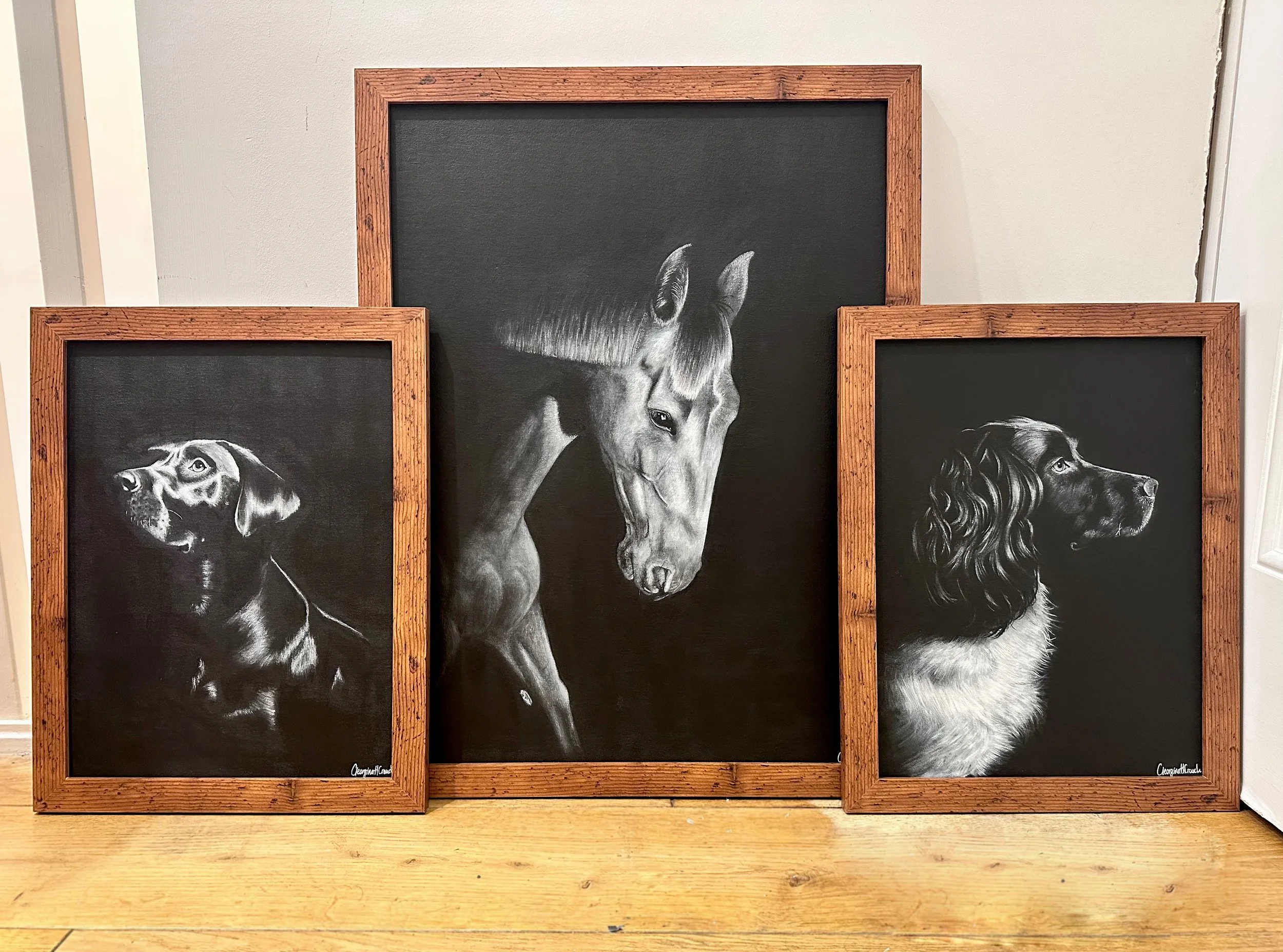 Three framed painted portraits of dogs and a horse, arranged on a wall, with a wooden floor beneath.