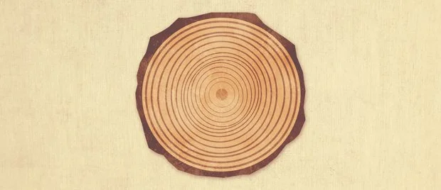 Youth Driven&nbsp;Culture