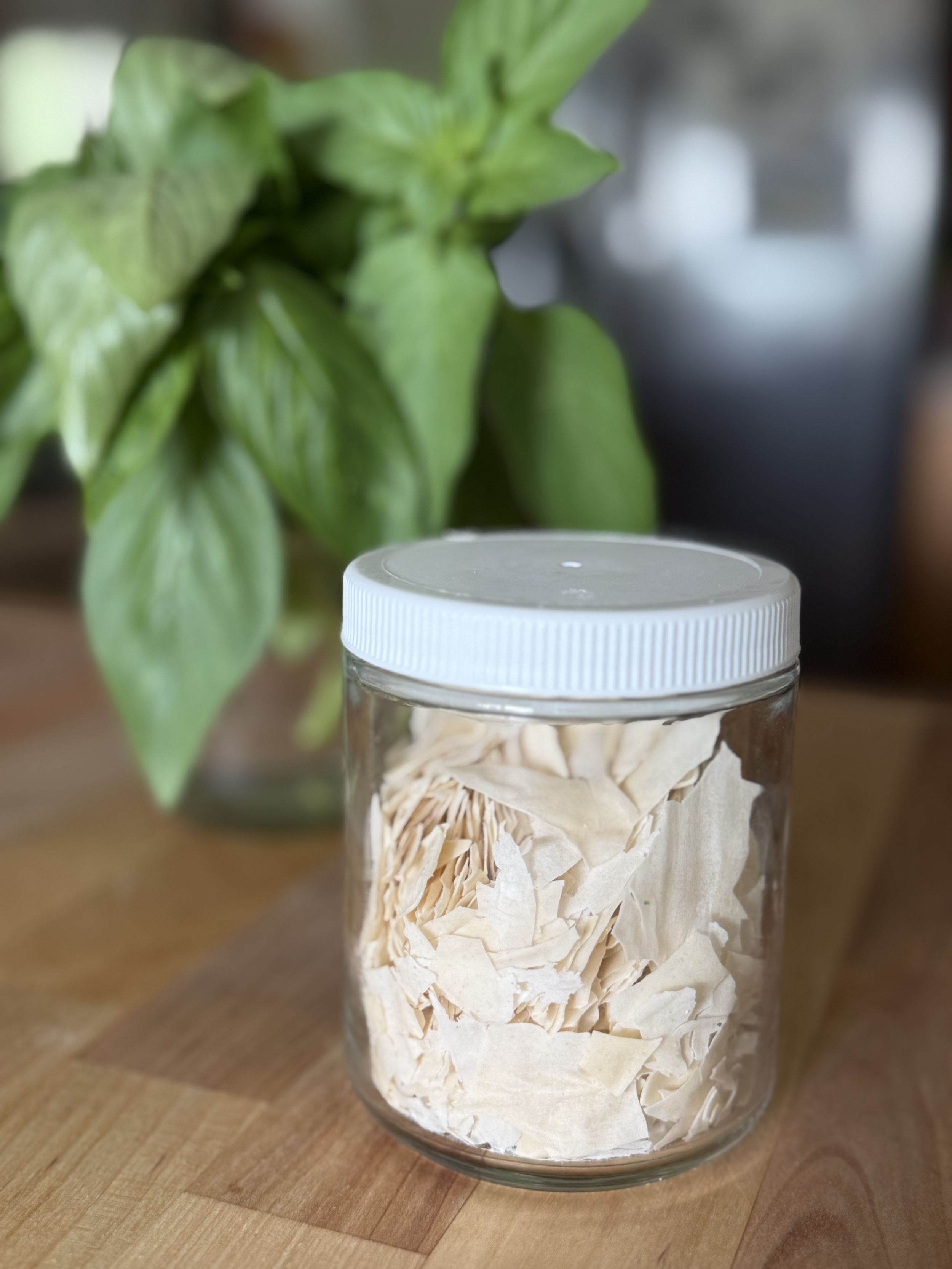 Sourdough Starter: Bring it Back to Life