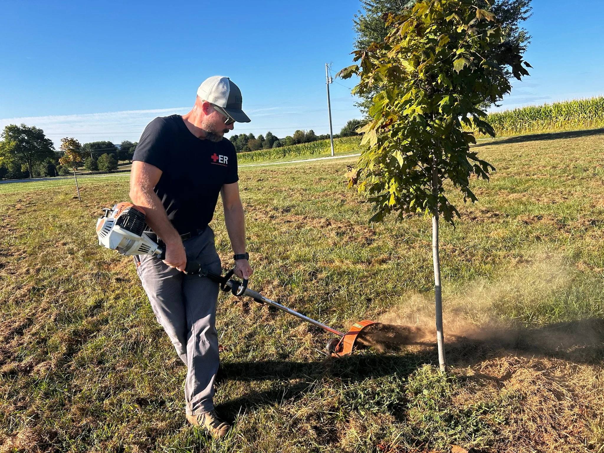 Man using a leaf blower to clear grass and soil around young trees outdoors on a sunny day.
