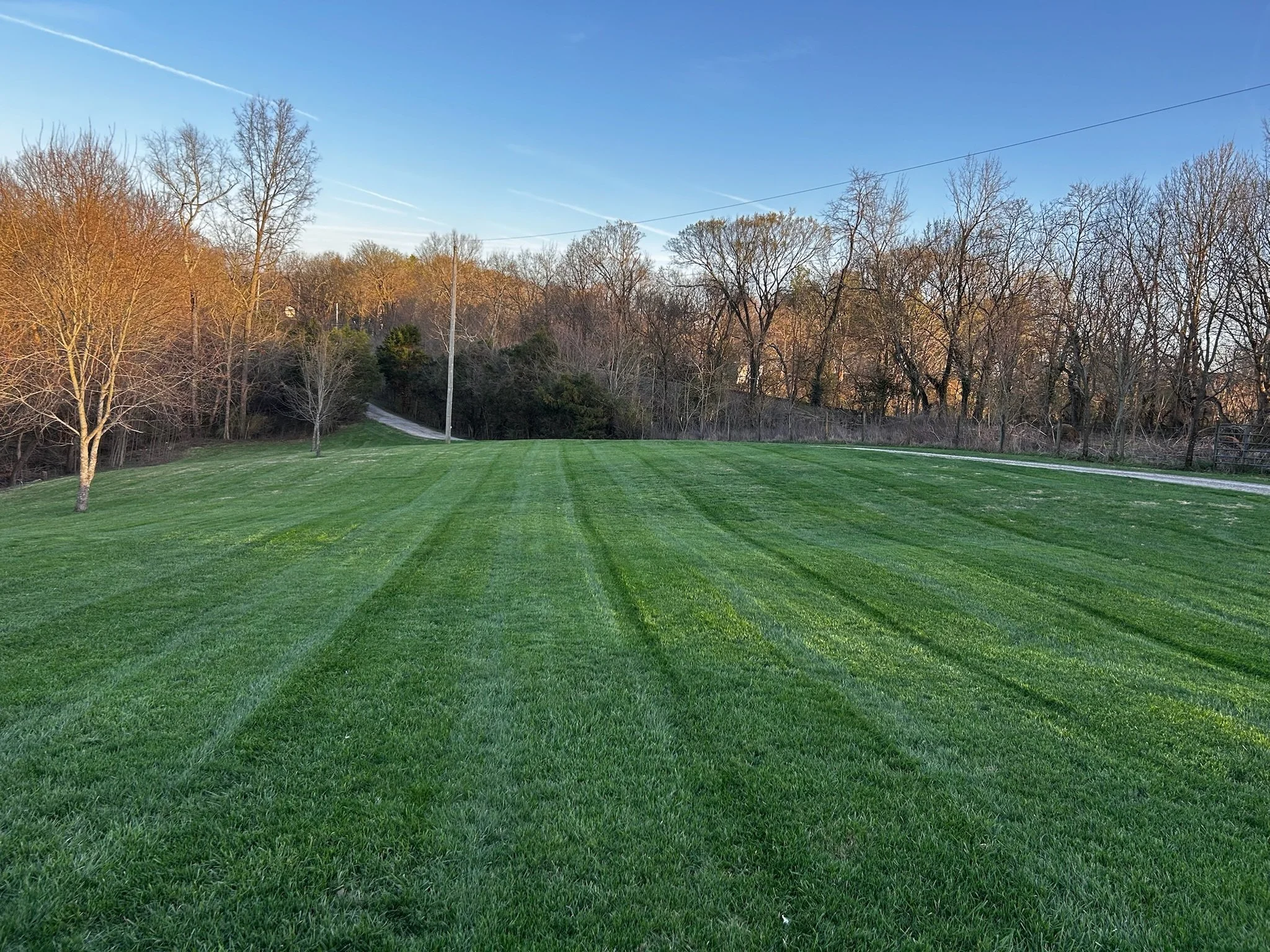 A lush green lawn with visible mower lines stretches towards a wooded area with leafless trees. The sky is clear blue with a few contrails visible.