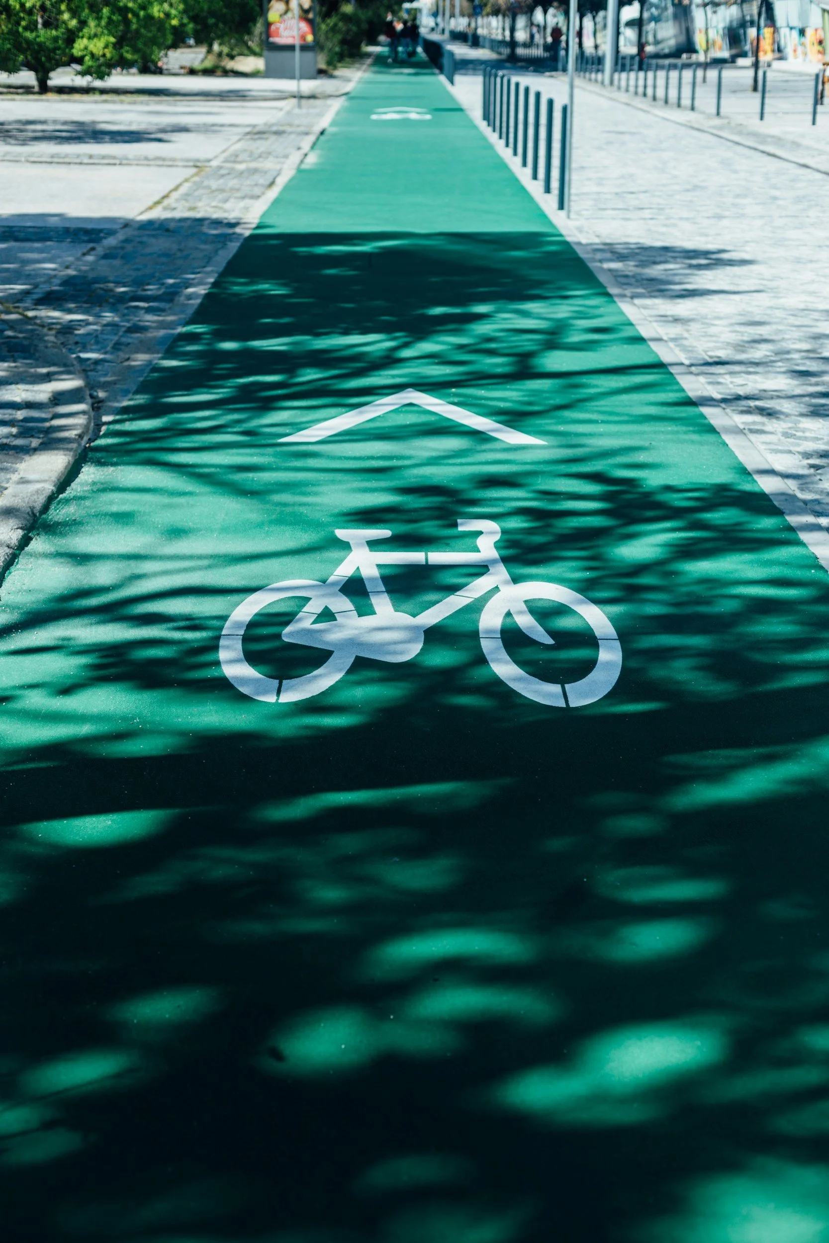 Bike lane with a white bicycle symbol and an arrow on green pavement, adjacent to a sidewalk, with trees and street in the background.