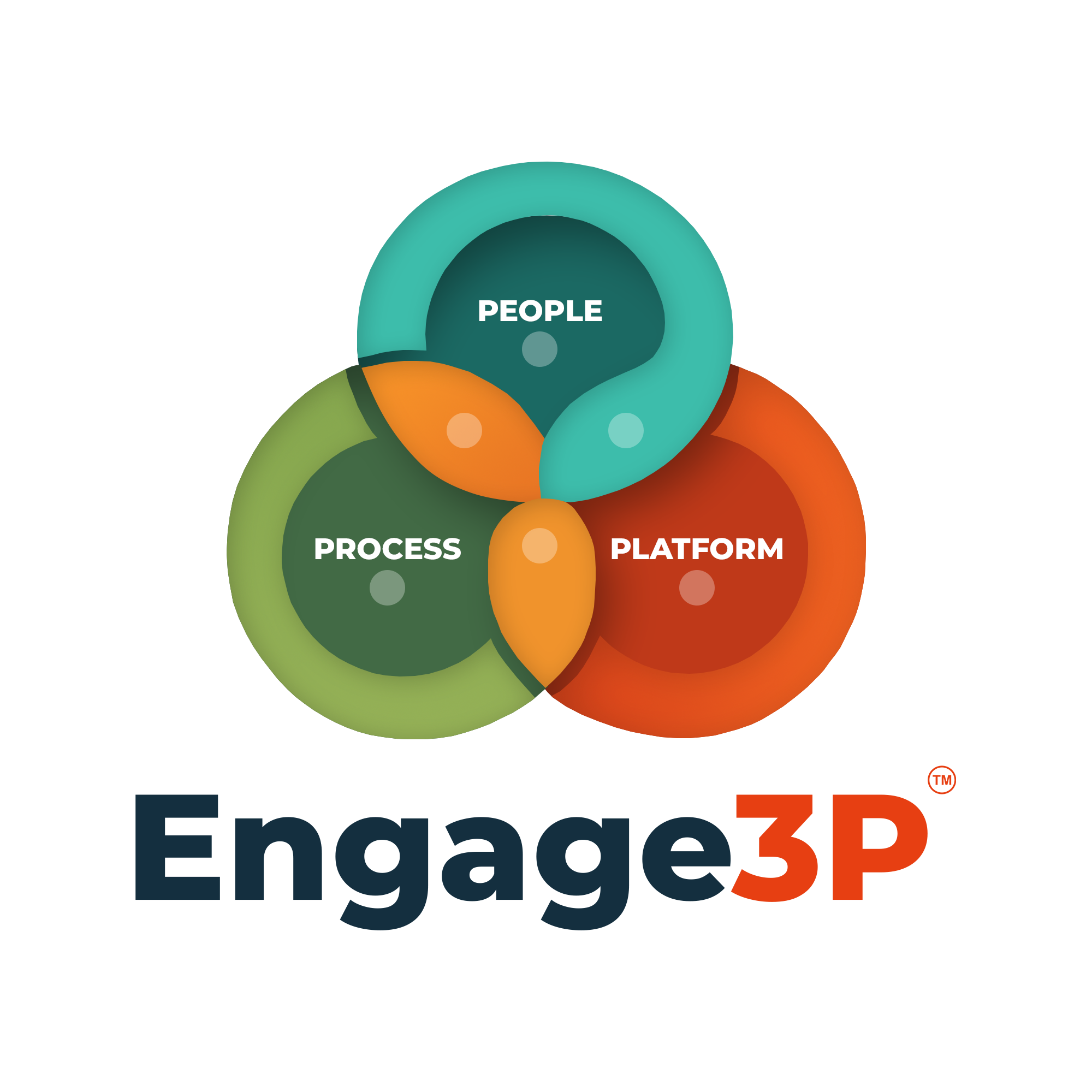 Engage3P People, Process and Platform framework - the 3P diagnostic lens for finding organizational friction and closing the embedded to embodied gap in change and leadership transformation