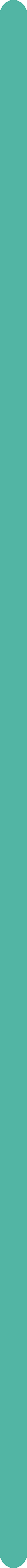 Teal divider line