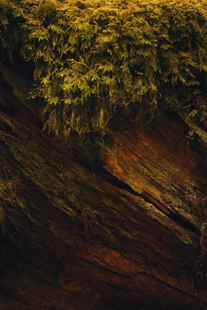 _DSF0570-CaptureOne 1-Exposure.jpg