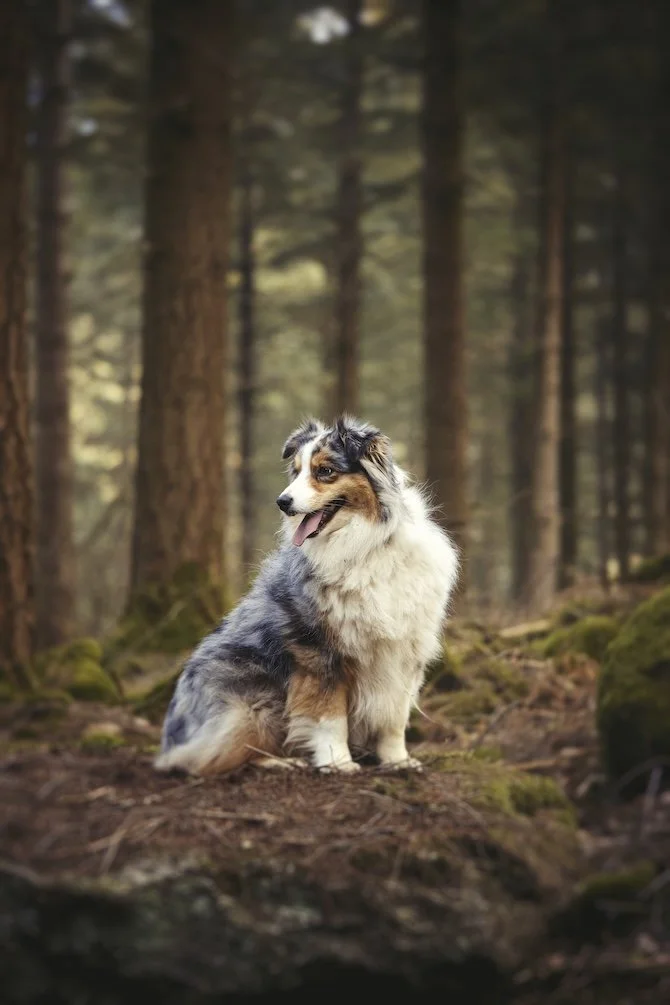 _DSF6220-Exposure (1).jpg