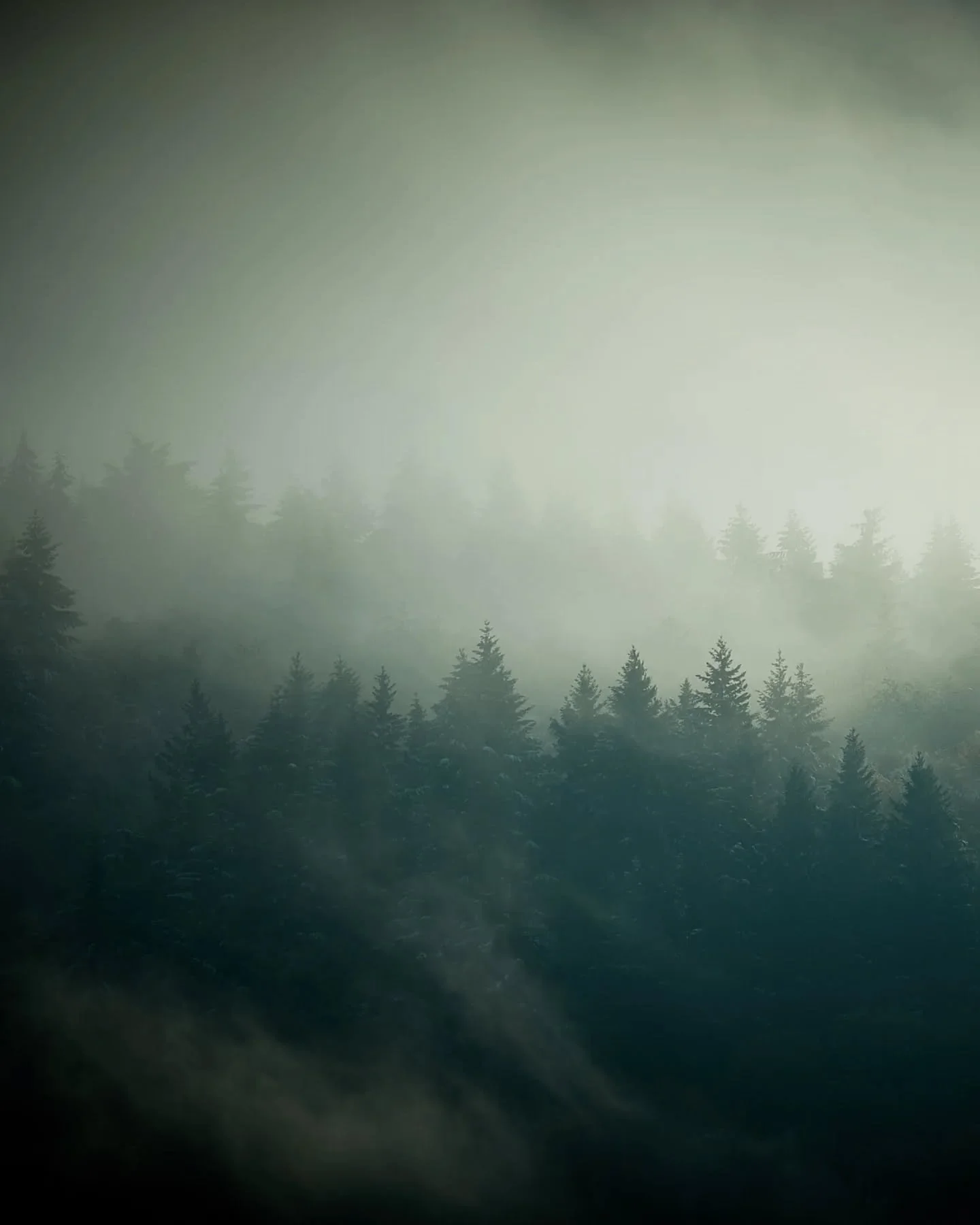 Probablement l'un de mes tirages les plus vendu ! 😉🏔🌲 Tu le trouveras juste l&agrave; ⬇️
www.focalise.art/p/niflheim
.
.
.
.
.
.
#focalise #forestphotography #mysticalforest #tiragephoto #hahnem&uuml;hle #decomaison #naturelovers