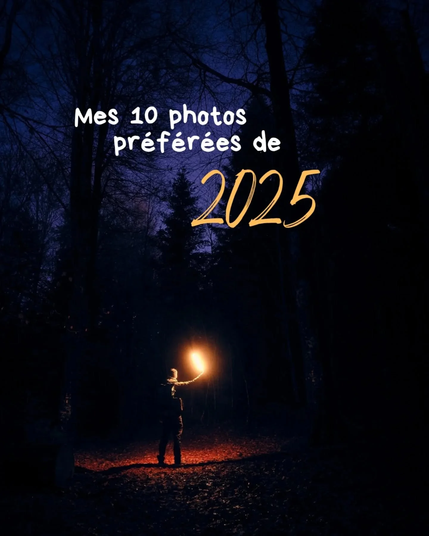 Franchement c'&eacute;tait dur de choisir 😅 mais les voil&agrave; ! Mon top 10 de 2025 😉. Elles ont toutes &eacute;t&eacute; prises dans le Morvan 🌲⛰️🌳
.
.
.
.
.
.
.
#photographebourgogne #fineartphotography  #parcnaturelregionaldumorvan #nomadic