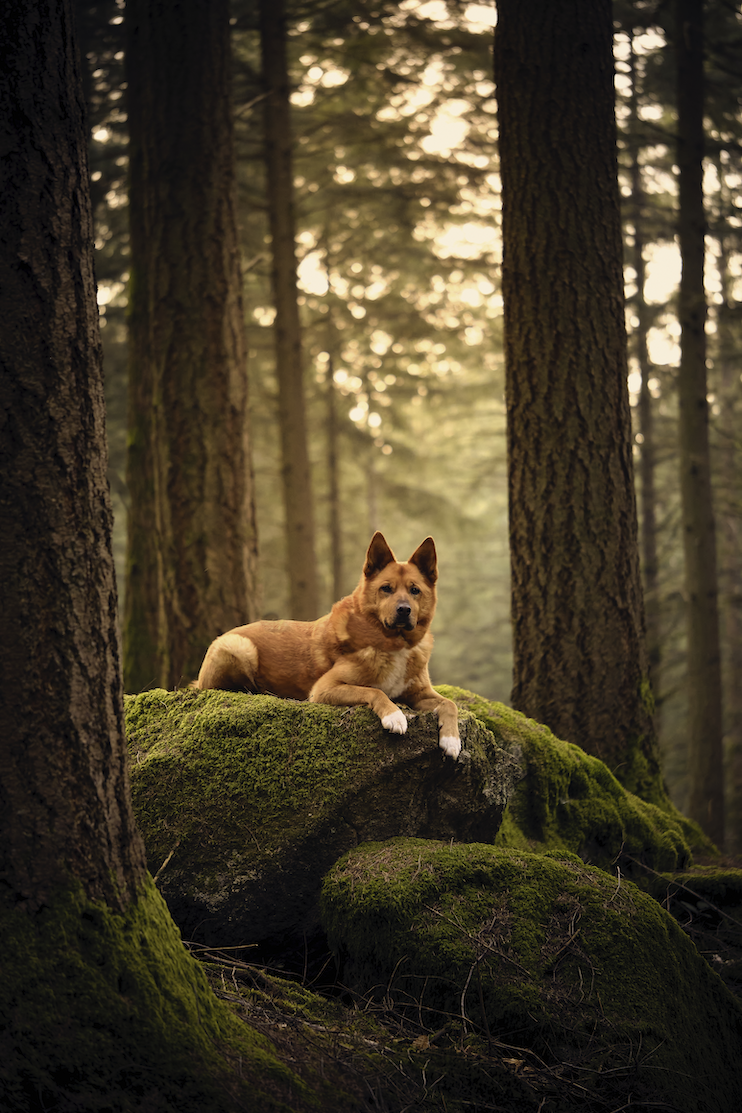 _DSF6374-Exposure (1).png