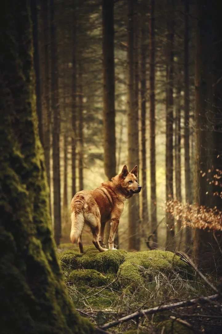 _DSF6398-Exposure (1).jpg