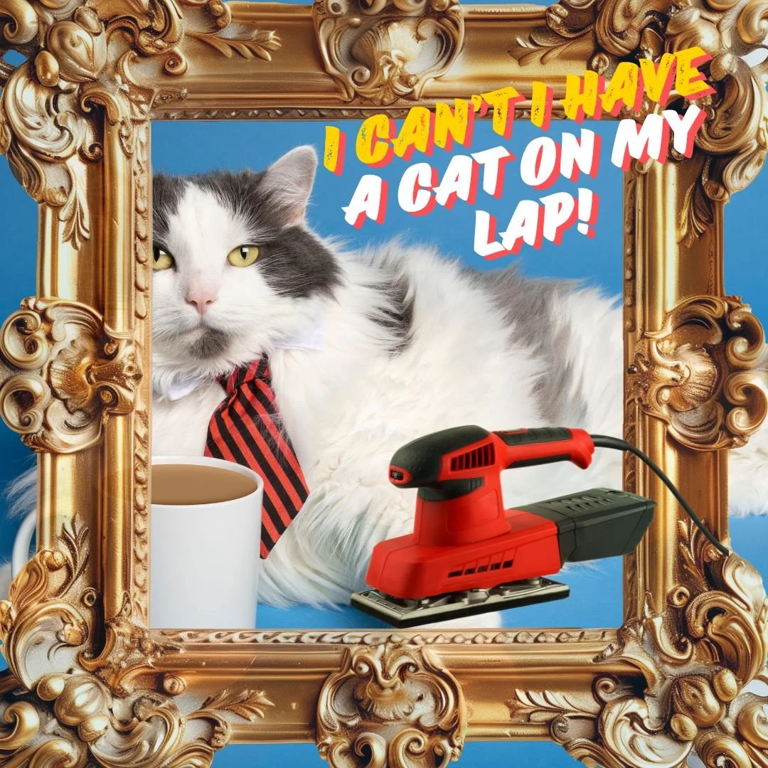 “I Can’t, I Have a Cat on My Lap”