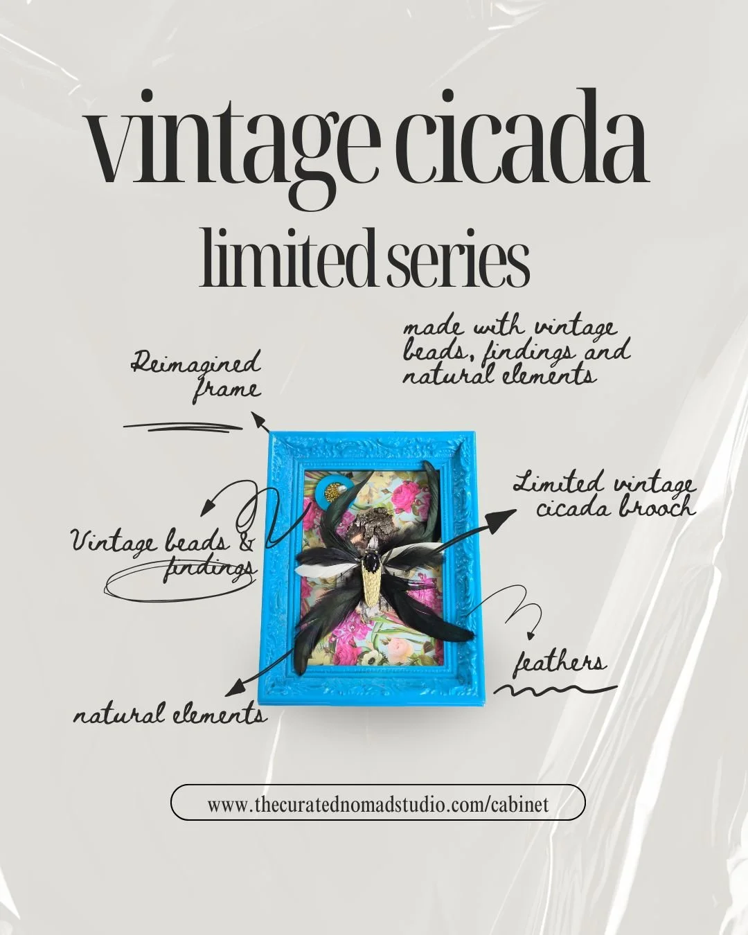 Cicada Limited Series (1).jpg