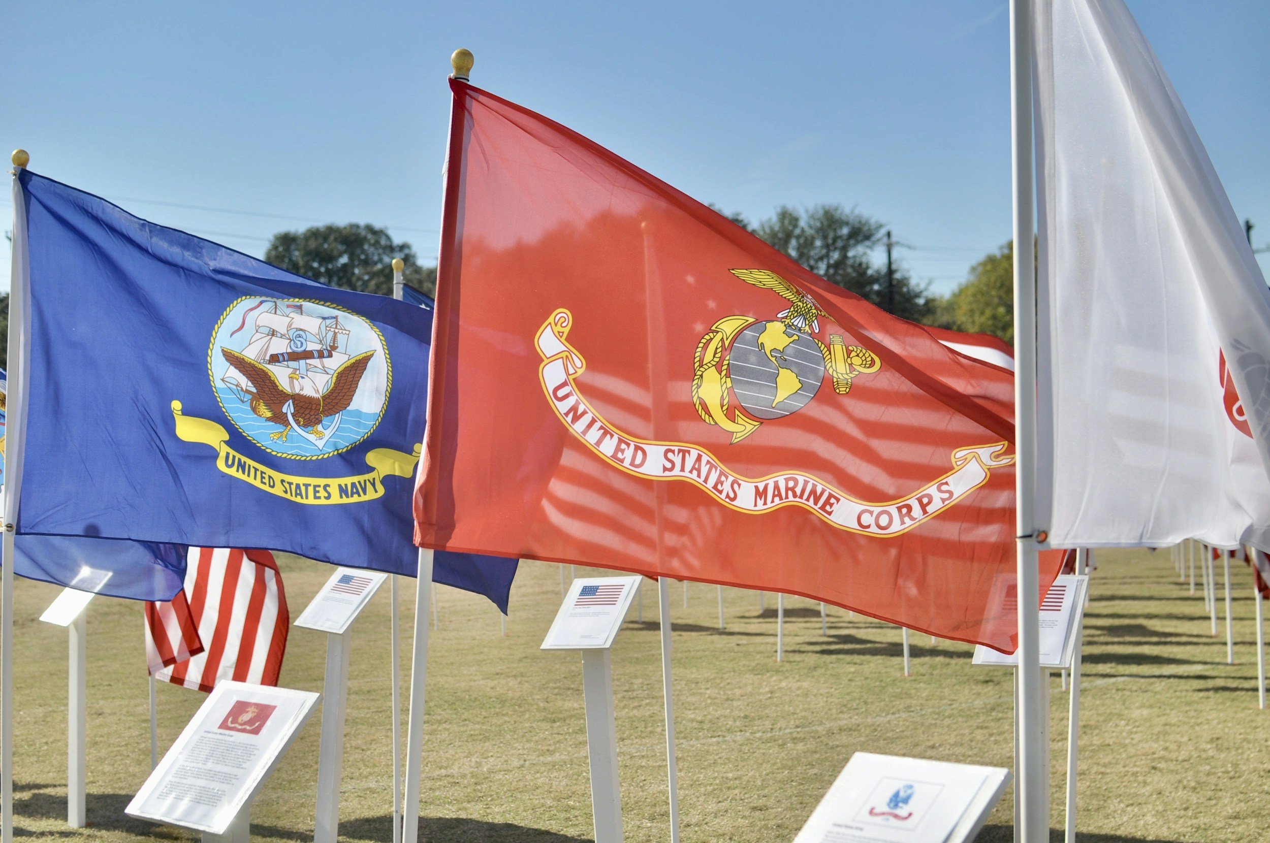 U.S. military service flags representing service academy and ROTC pathways to commissioned service