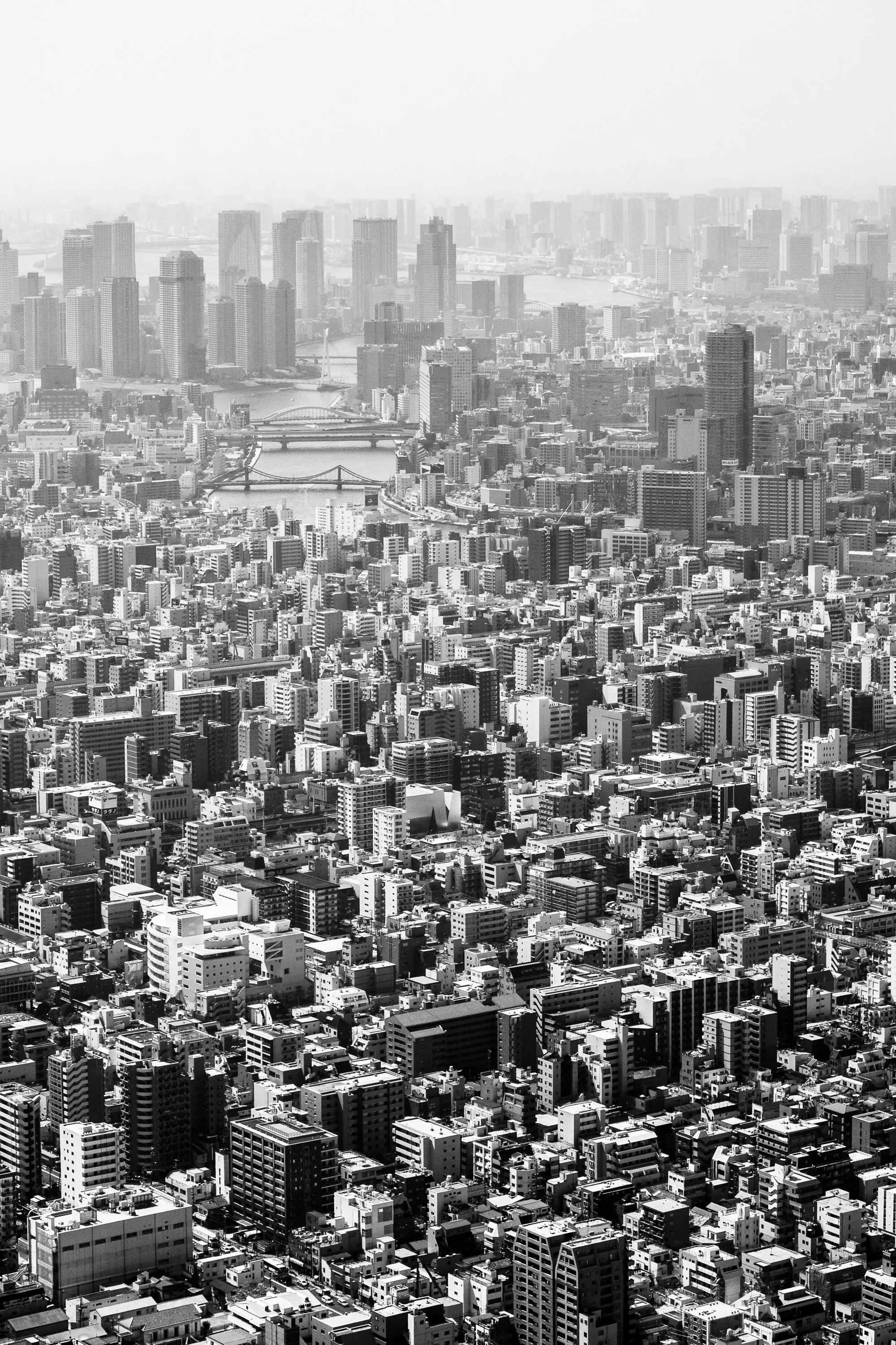 landscape-bw-001.jpg
