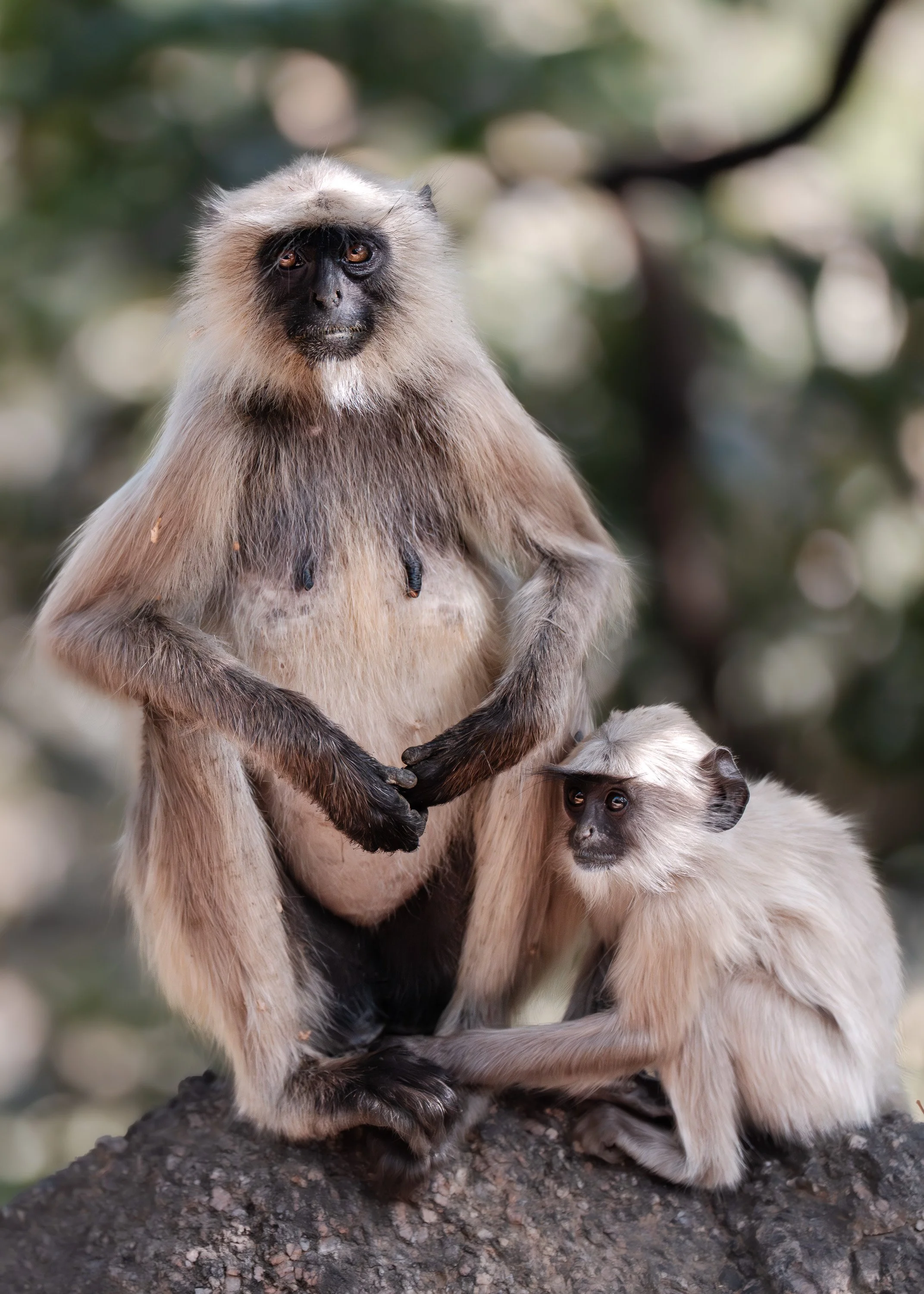wildlife-042.jpg