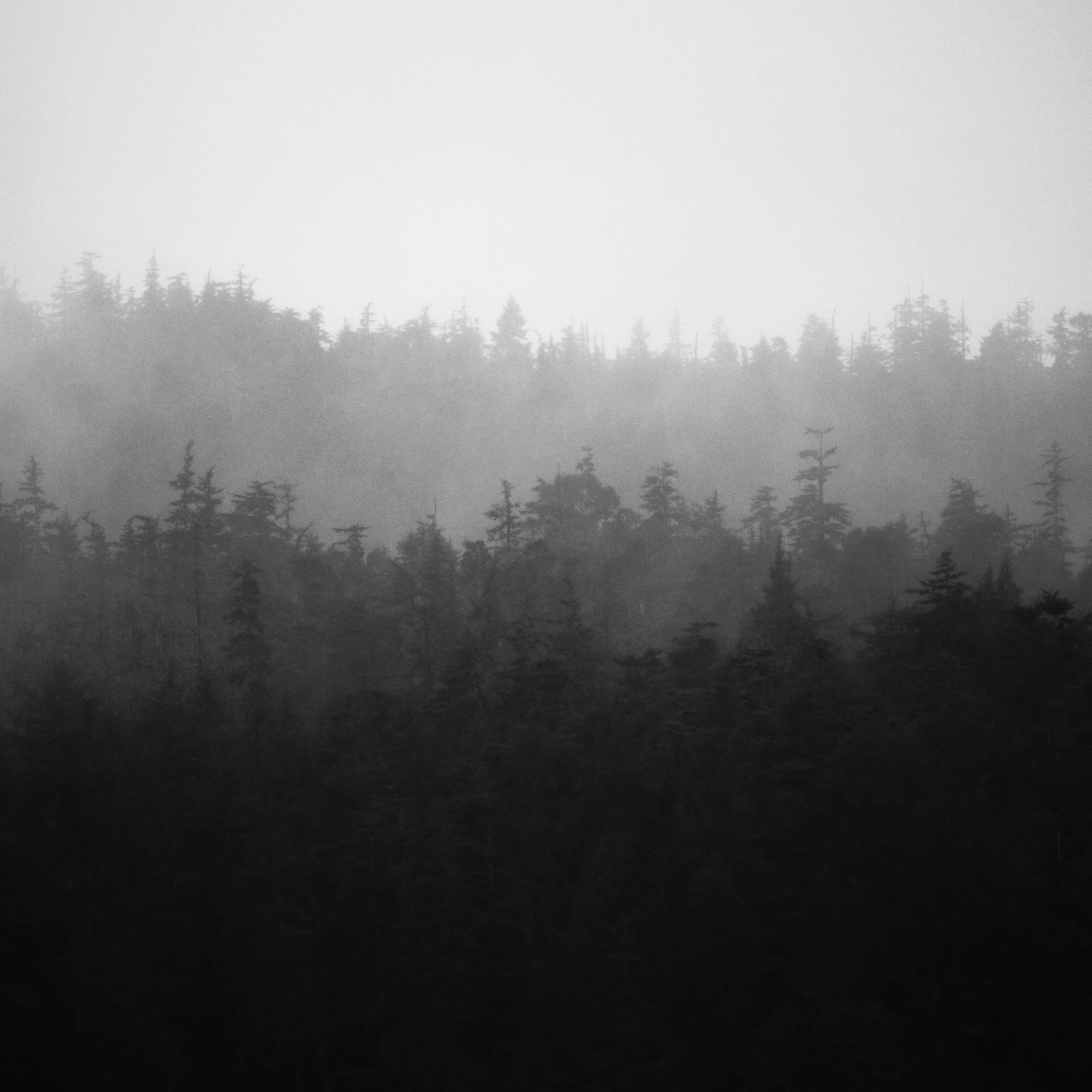 bw-009.jpg