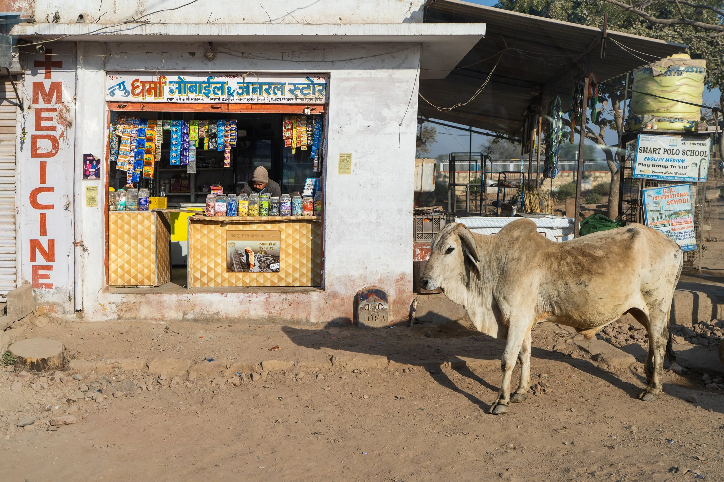 india-053.jpg