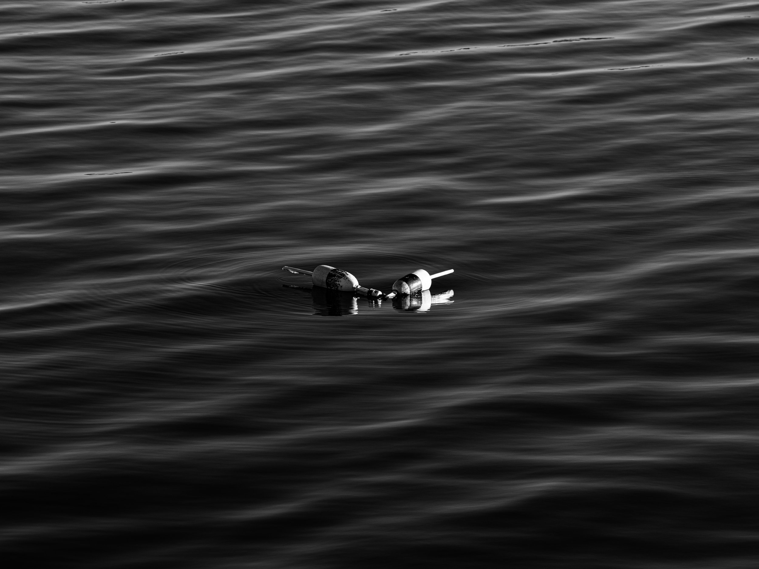 bw-012.jpg