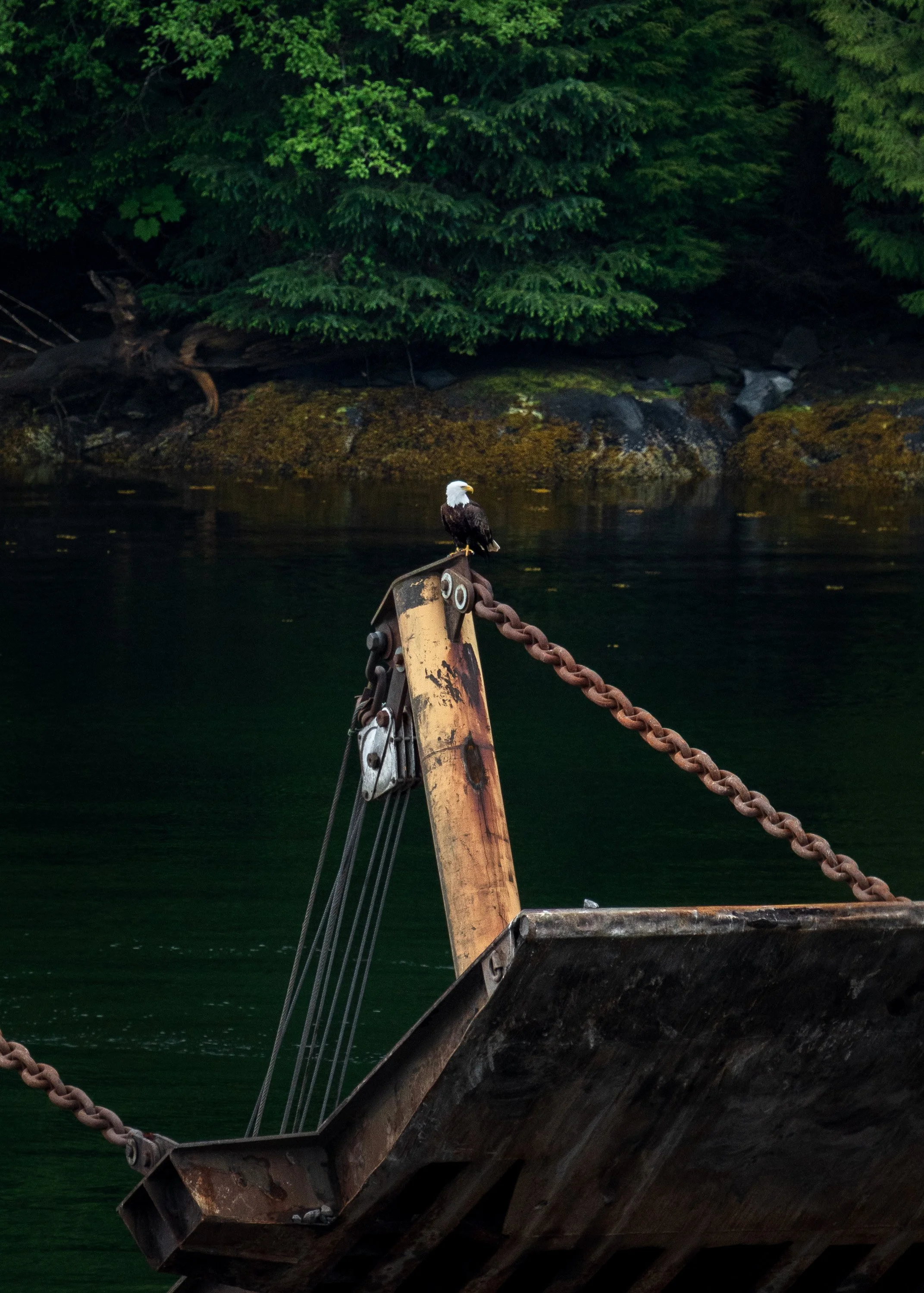 wildlife-011.jpg
