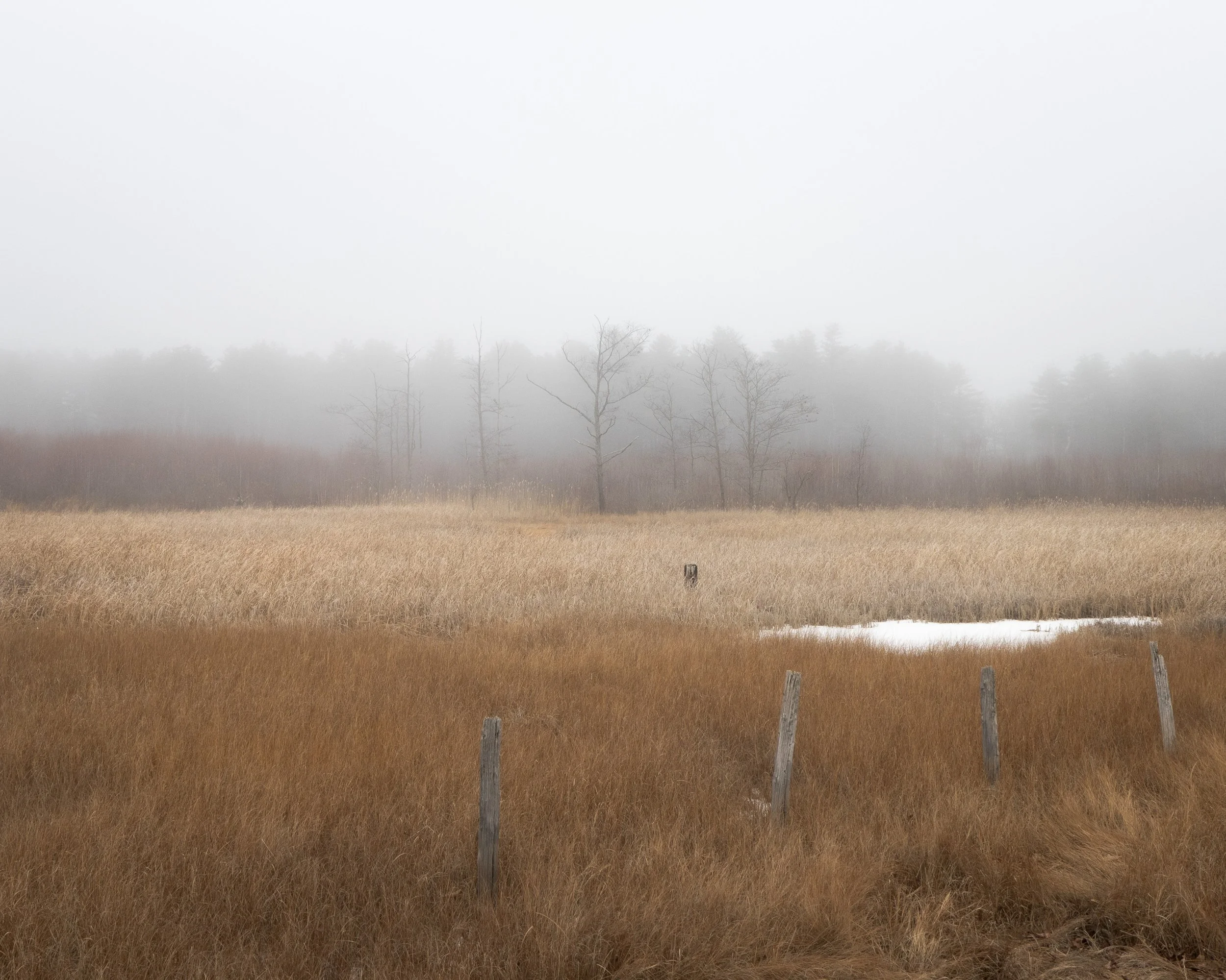landscape-020.jpg