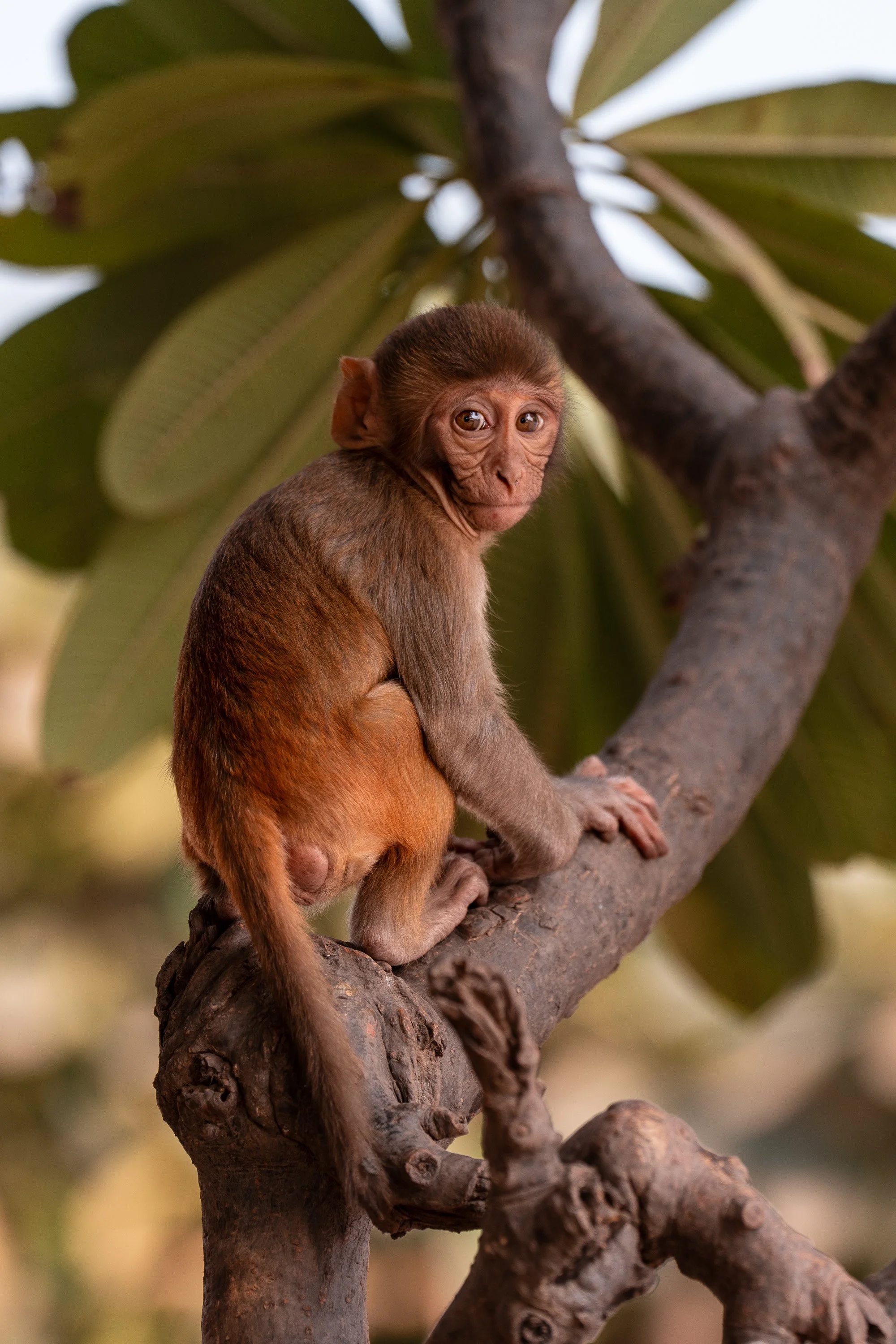 wildlife-039.jpg