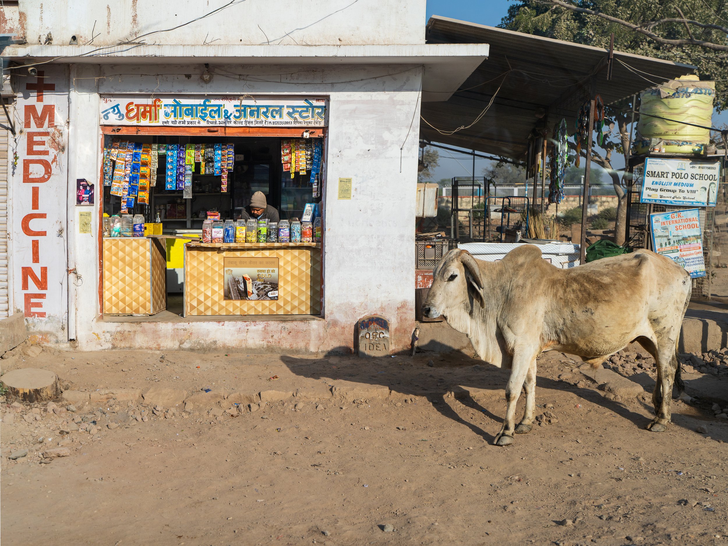 india-4x3-001.jpg