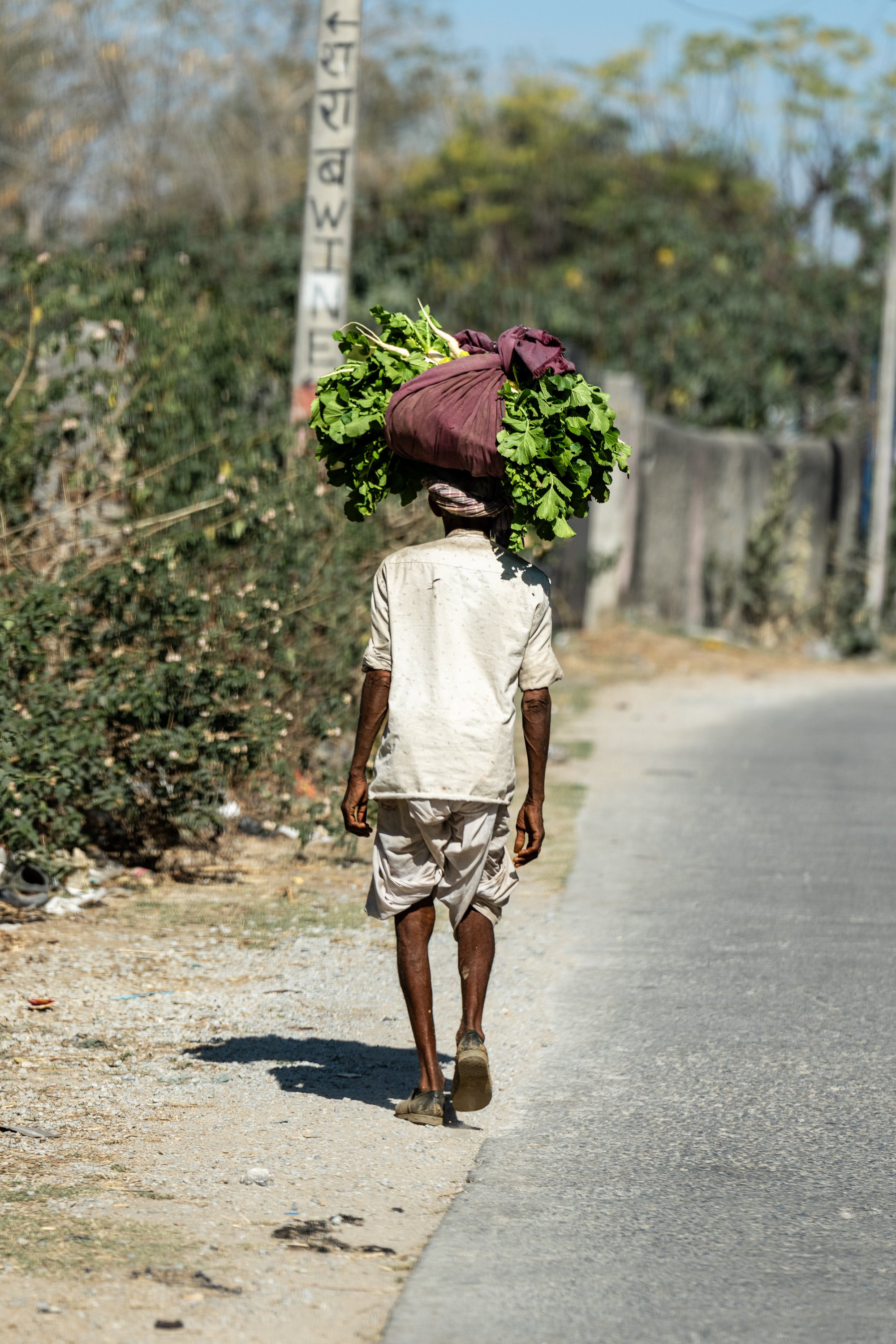 india-002e.jpg