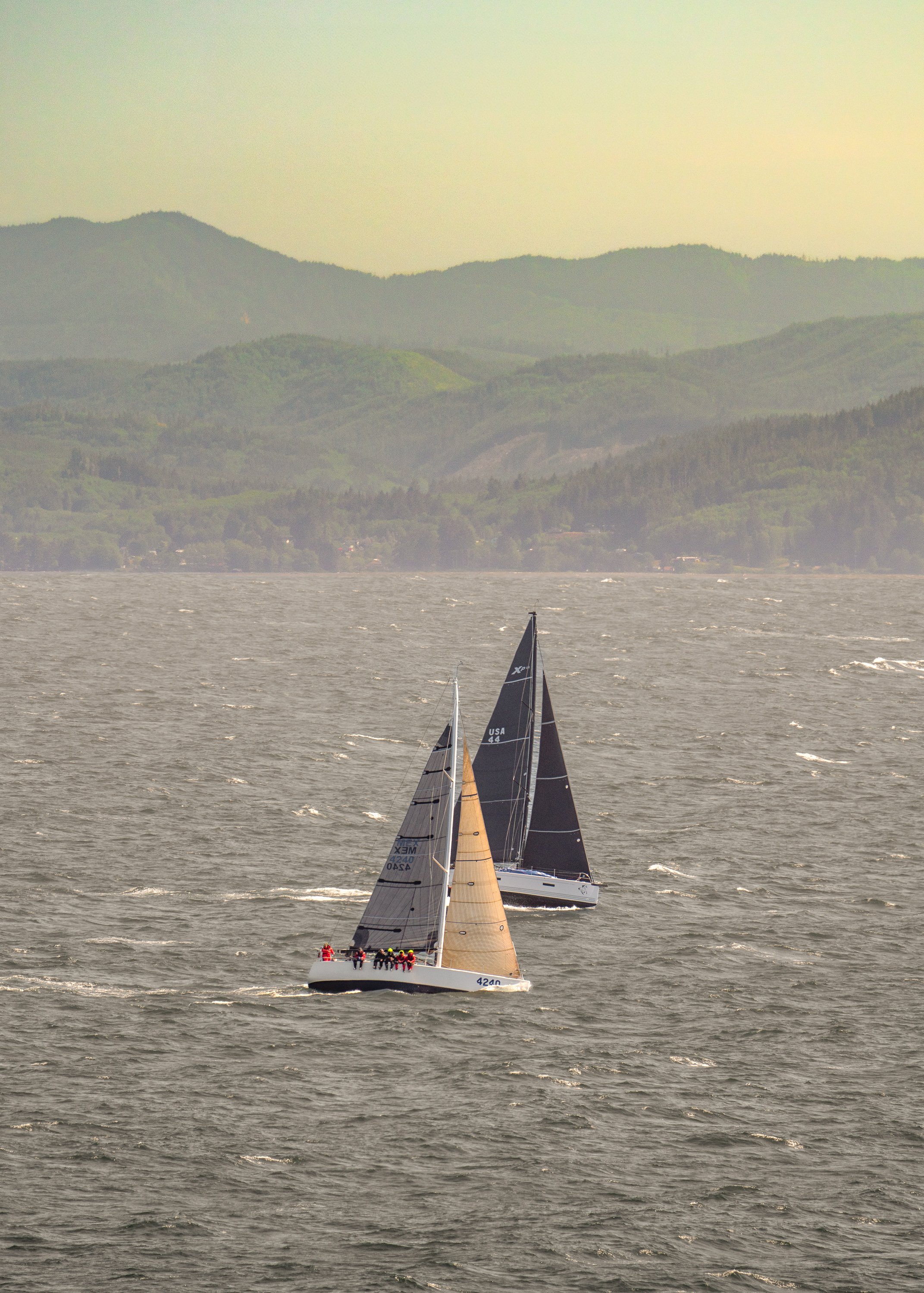 landscape-018-2.jpg