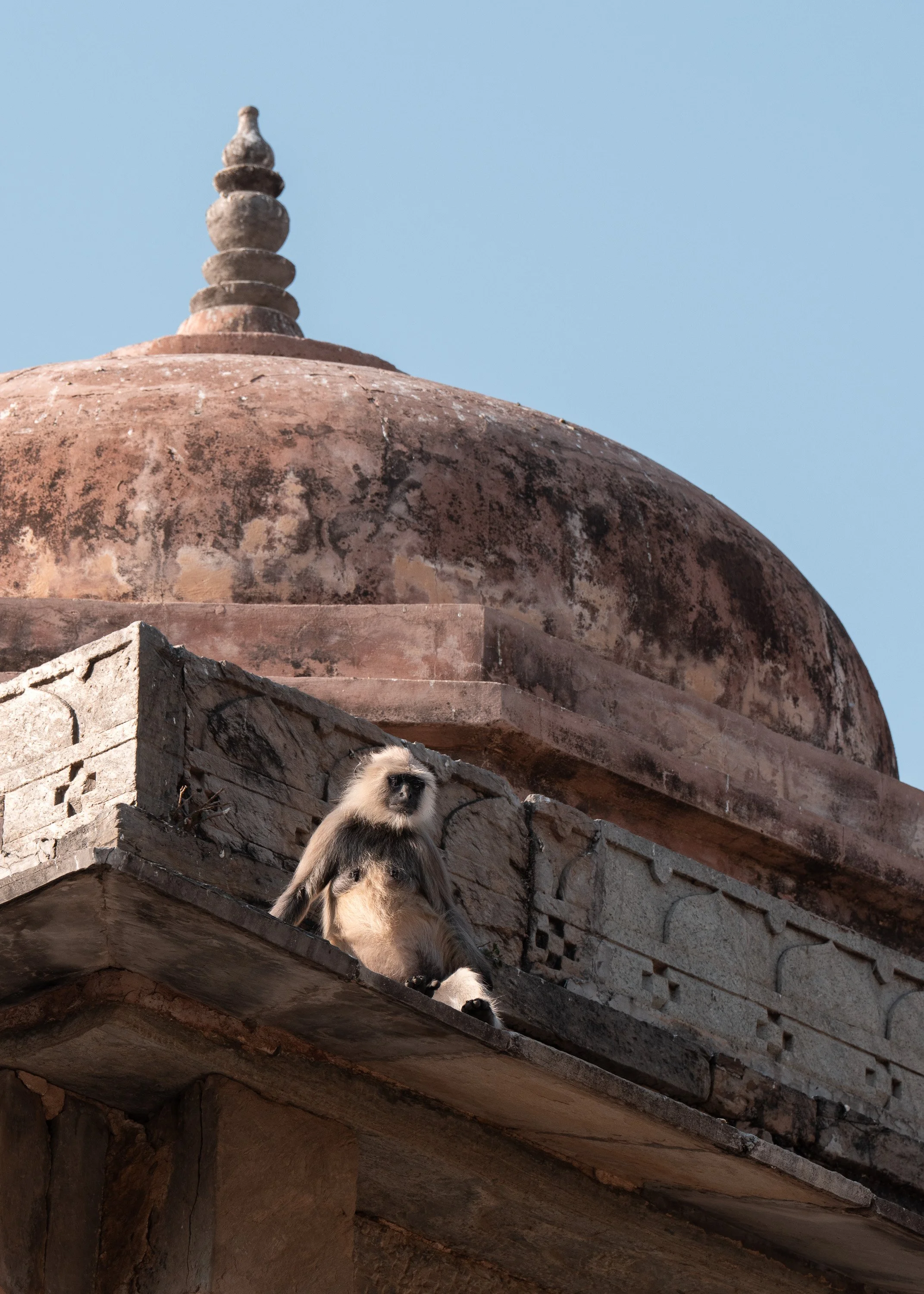 wildlife-040.jpg