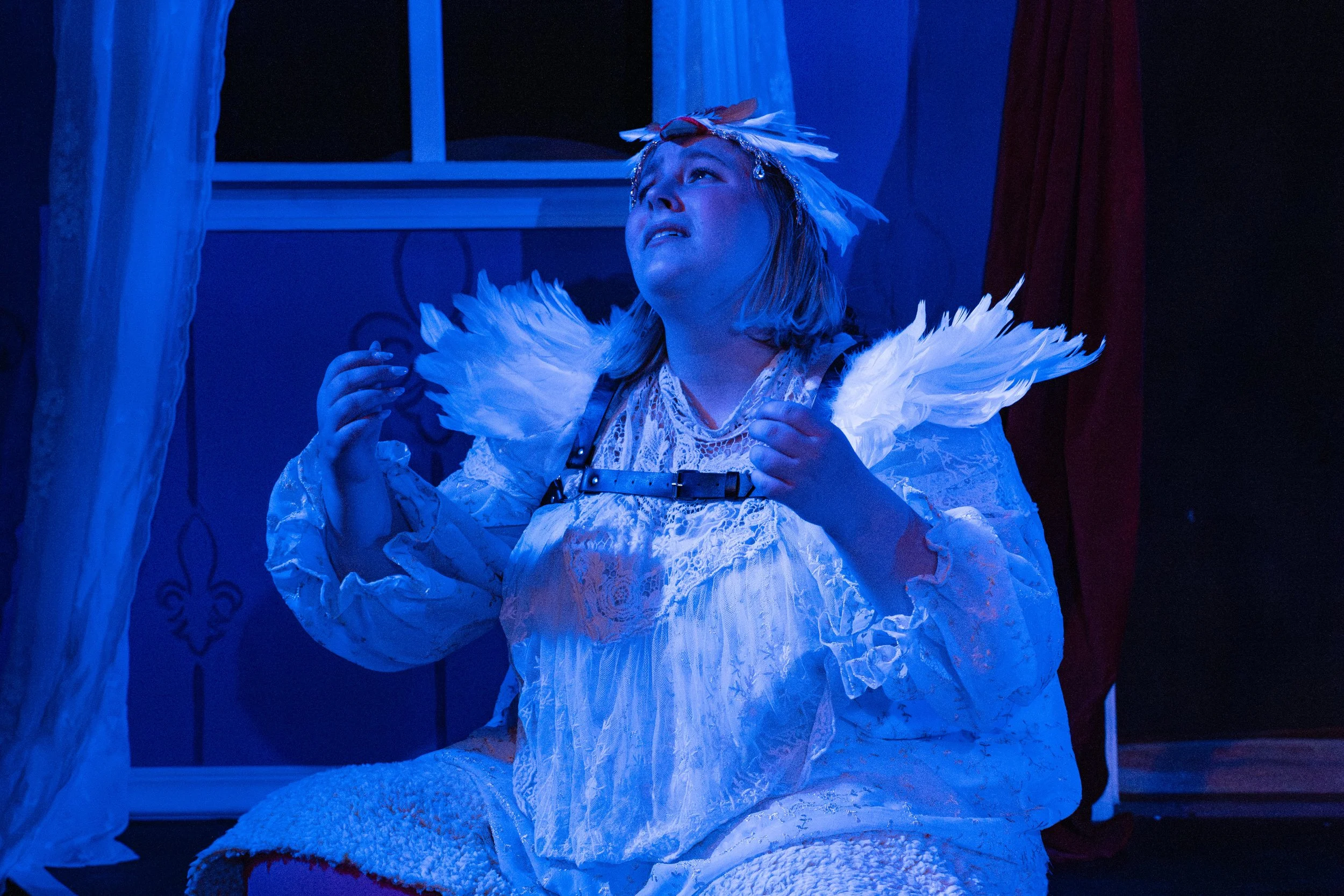 Moor-Hen in The Moors (photos by Perry Barkett)
