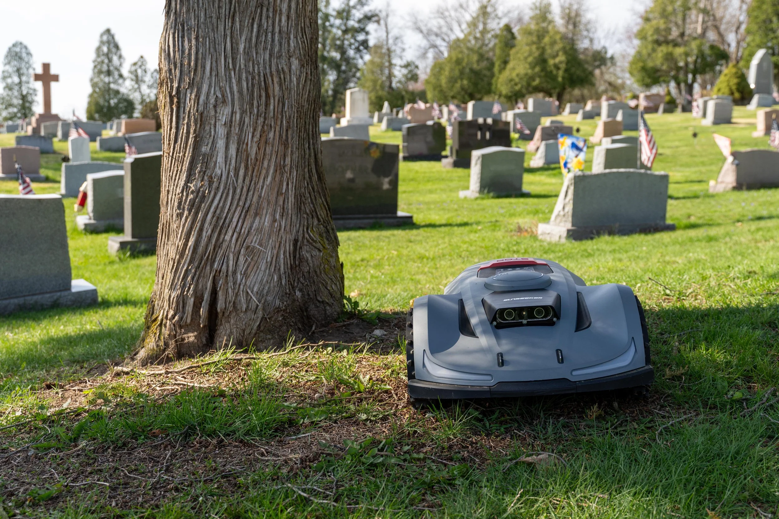 An autonomous robotic lawn mower on a grassy cemetery lawn next to a large tree, with gravestones and flags in the background.