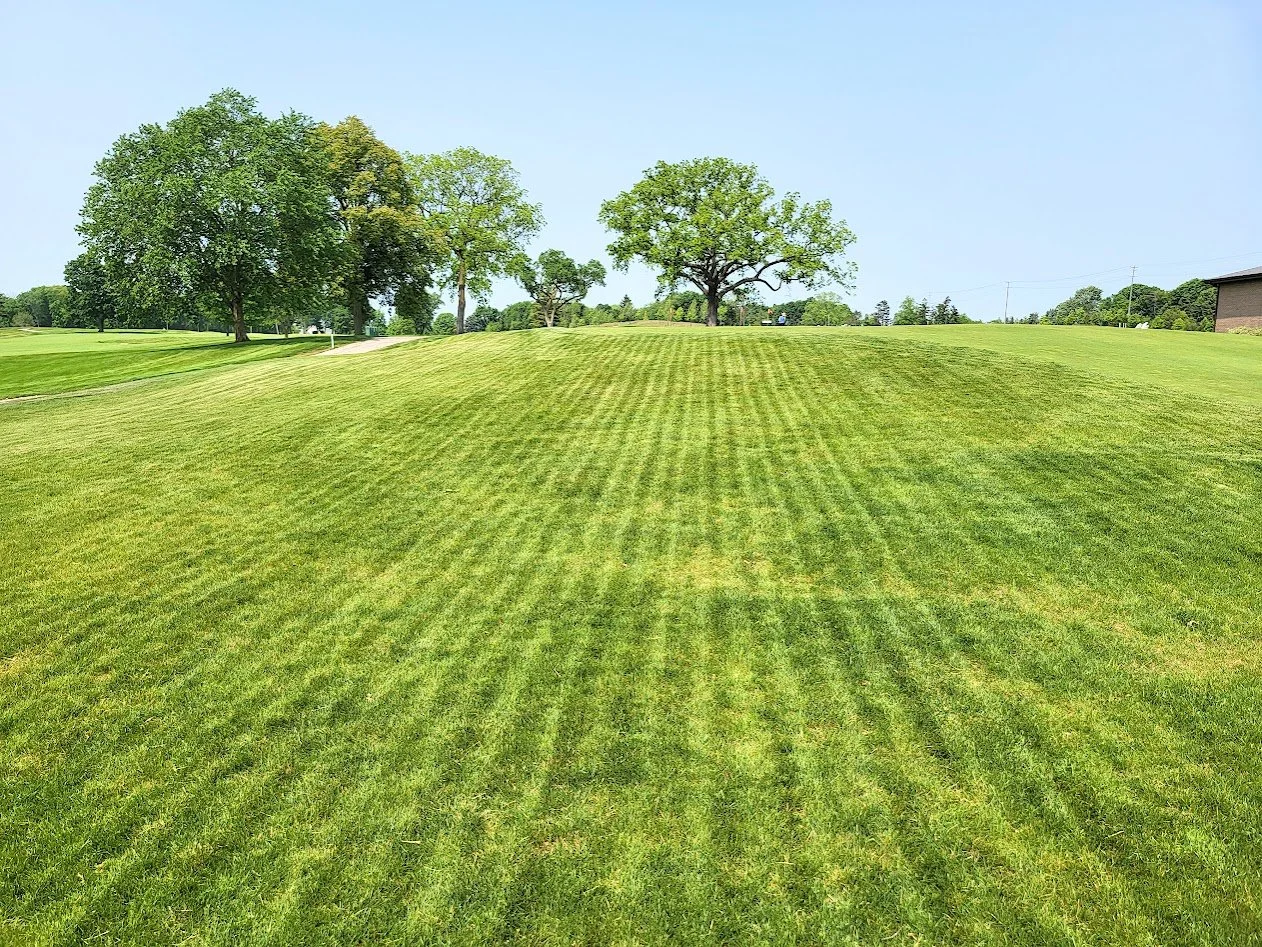 A well-maintained grassy area with neatly mowed stripes, trees in the background, and a clear blue sky.