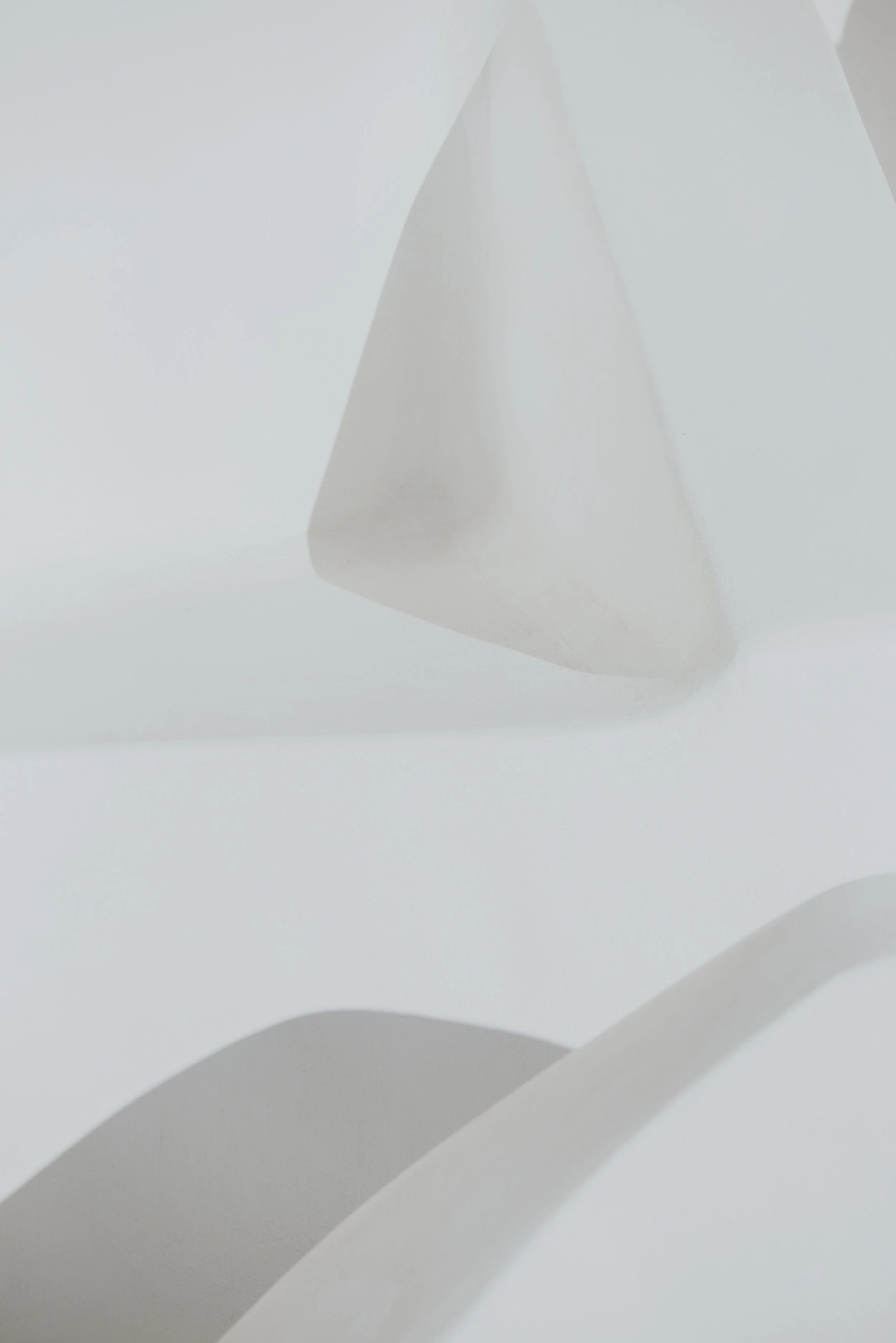 Abstract  Art Photography using sculptural shape and form in neutral colours