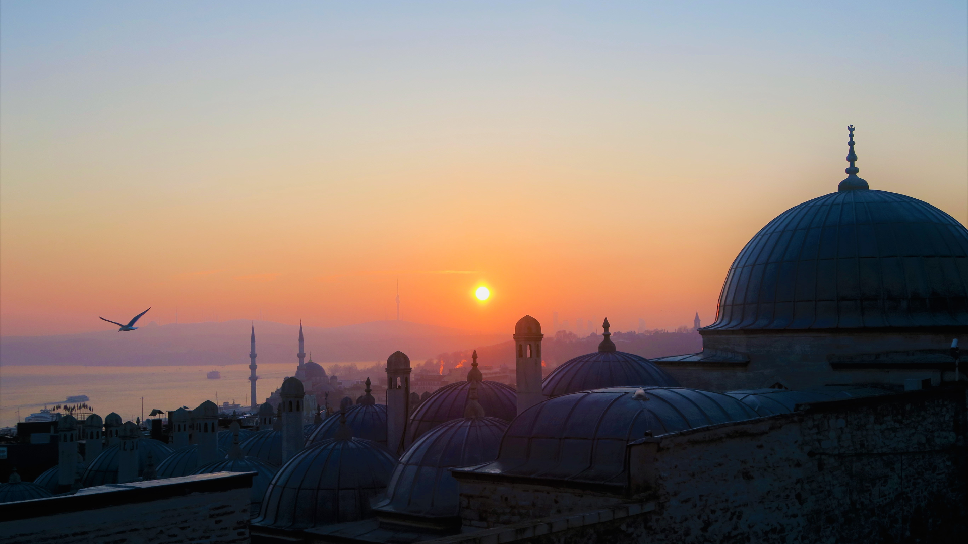 Al-Rahman, Al-Rahim: Becoming a Place Where Mercy Lands