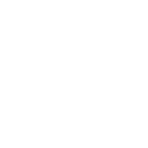 Wudus * icon