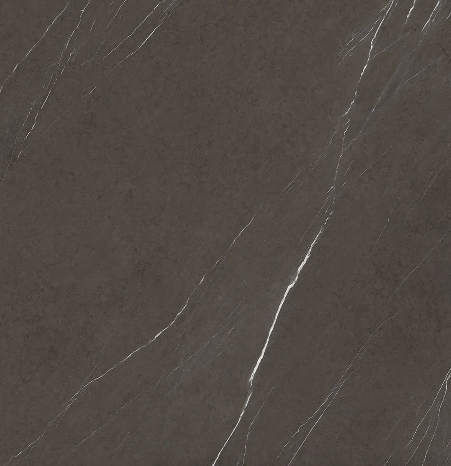 Pietra Grey