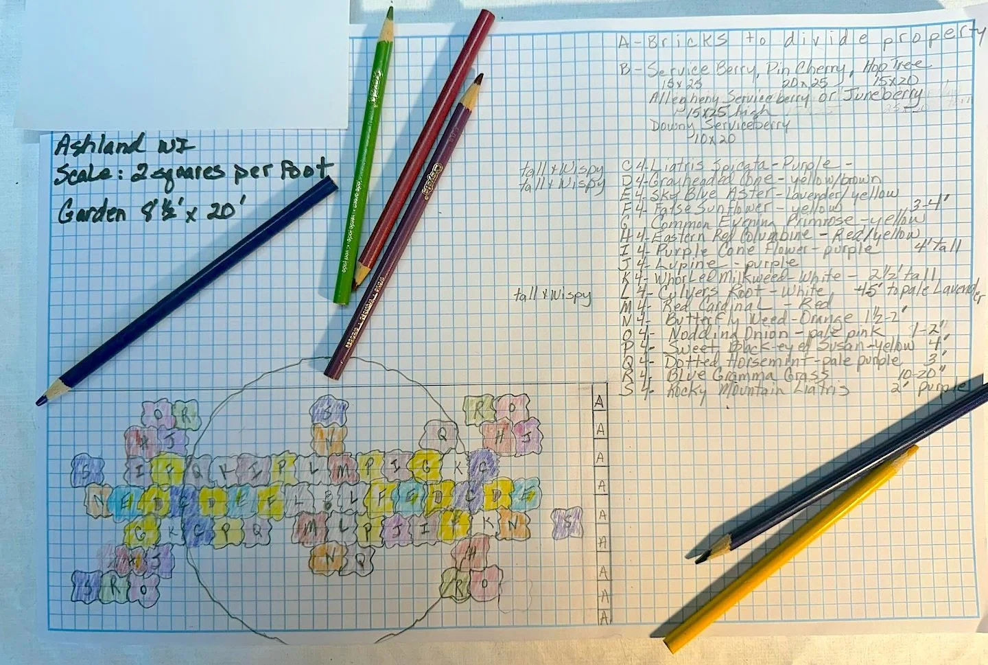 Blooming Boulevard! I received a request from a couple in Ashland wanting to plant their new boulevard in natives trees, shrubs and flowers! Holy Moly are the pollinators going to love that! First things first I must submit the design to the city for