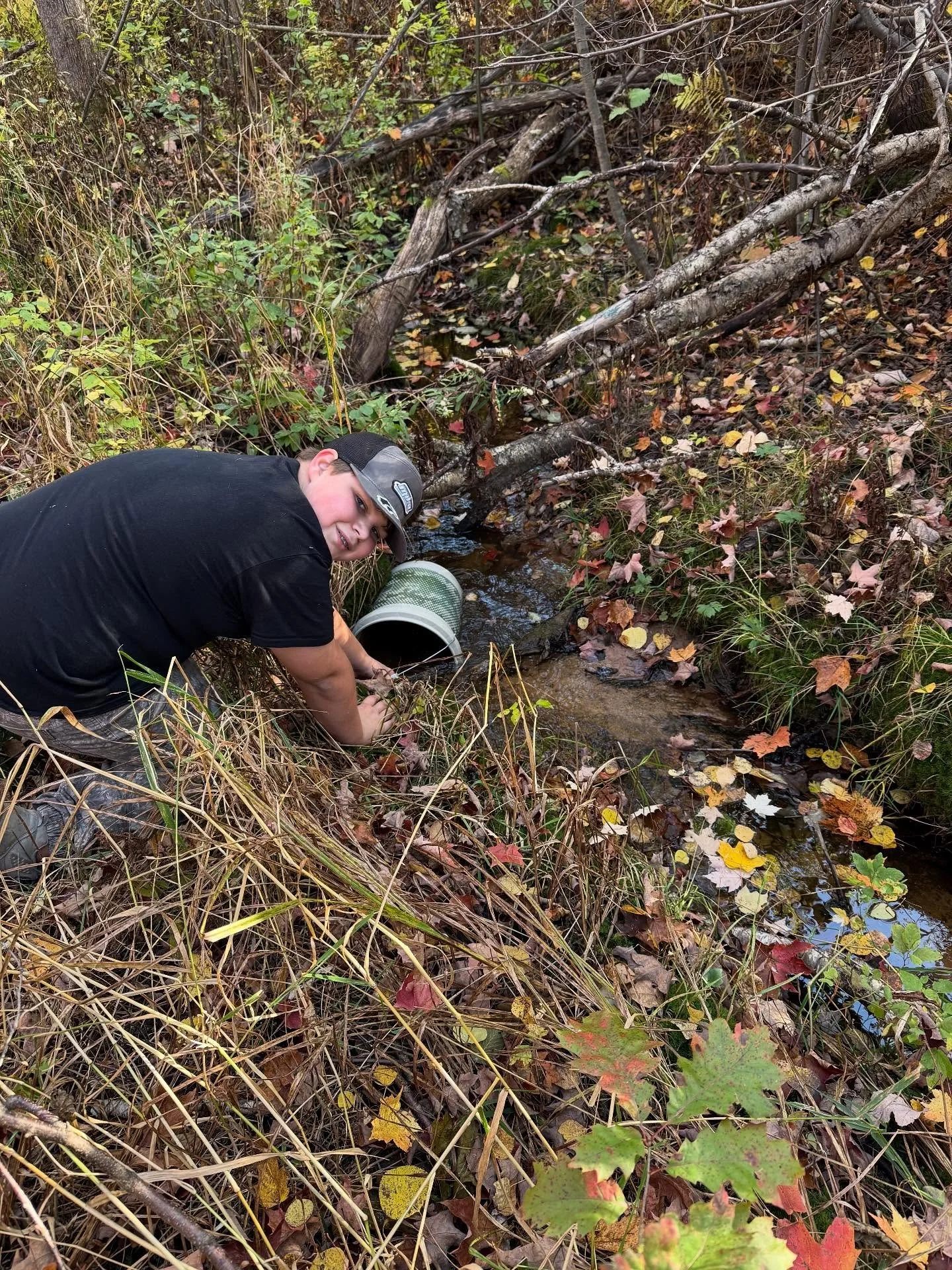 Levi planting native violets on the creek walking trail.