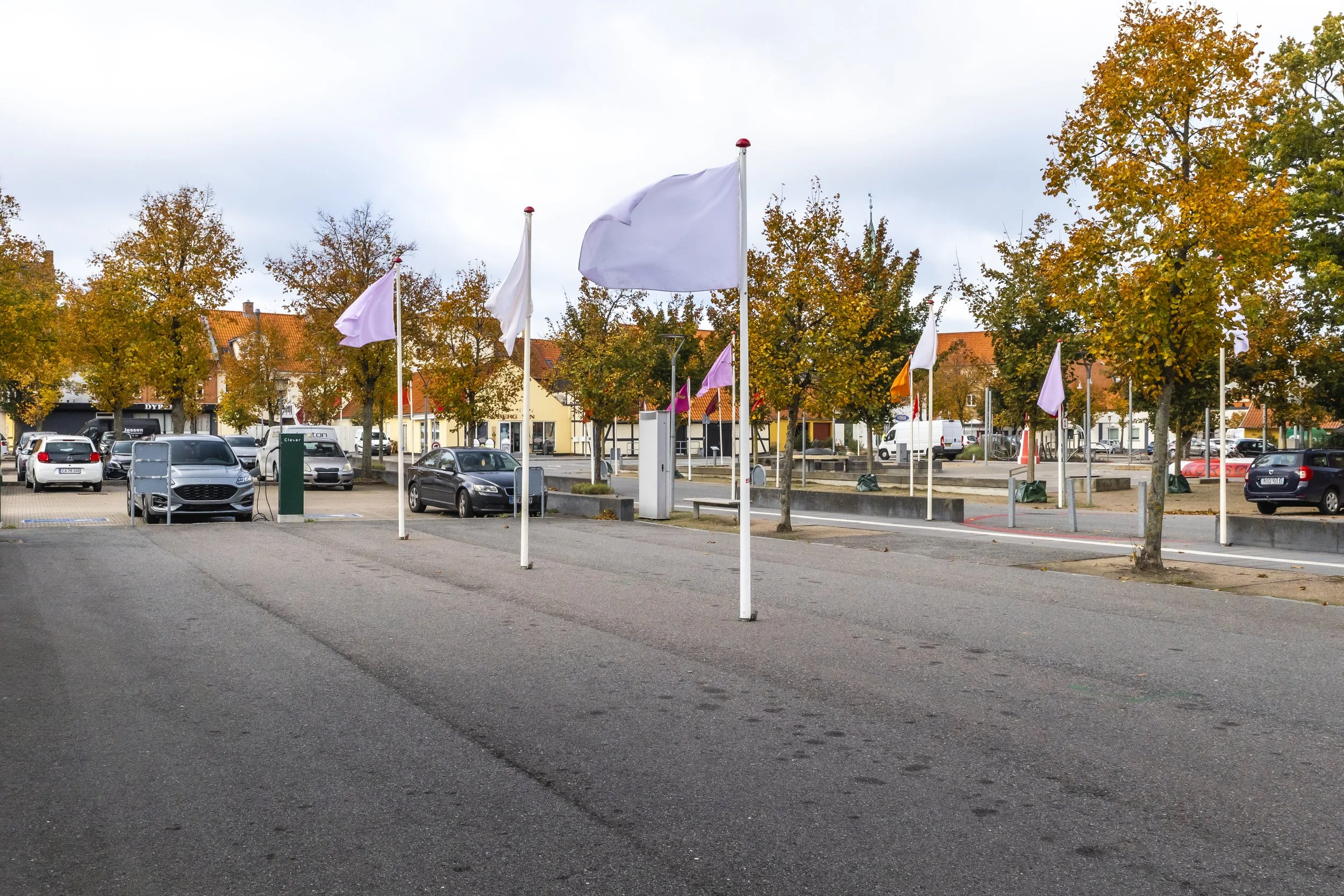 flags for open horizons 11.jpg