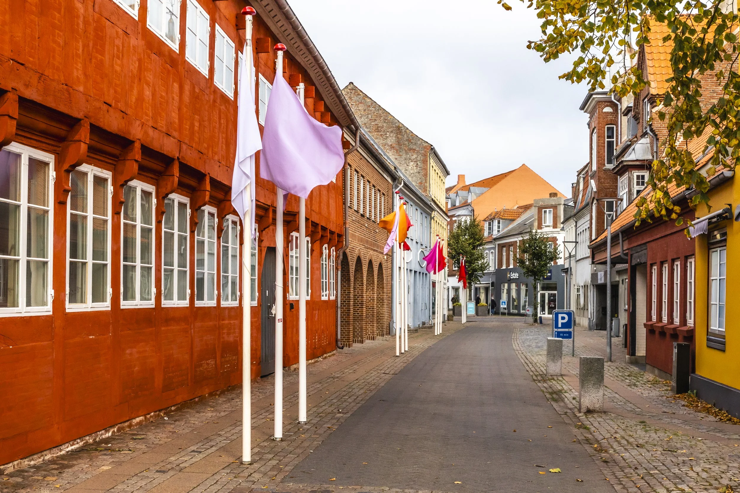 flags for open horizons.jpg