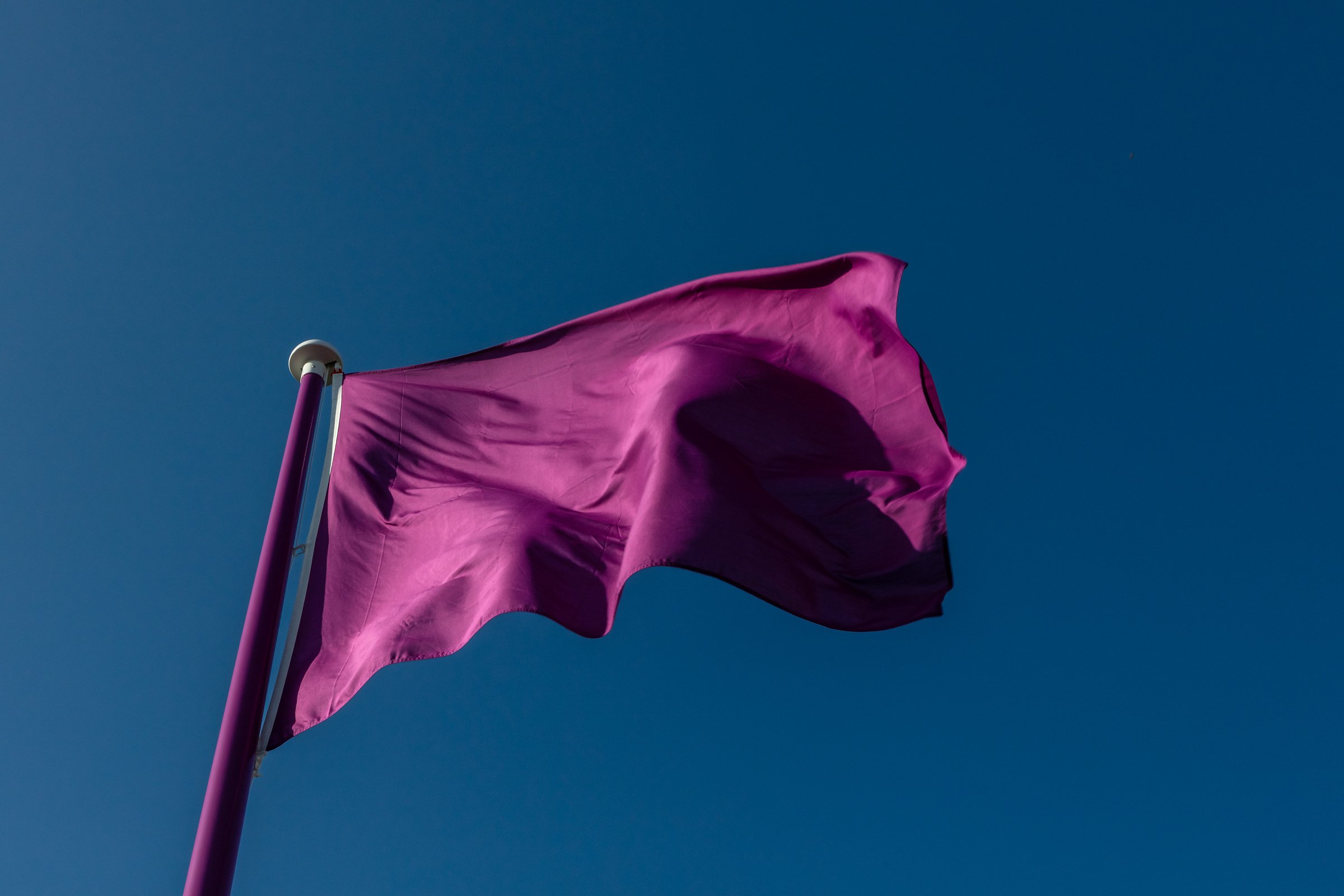 flags of knowledge 20.jpg
