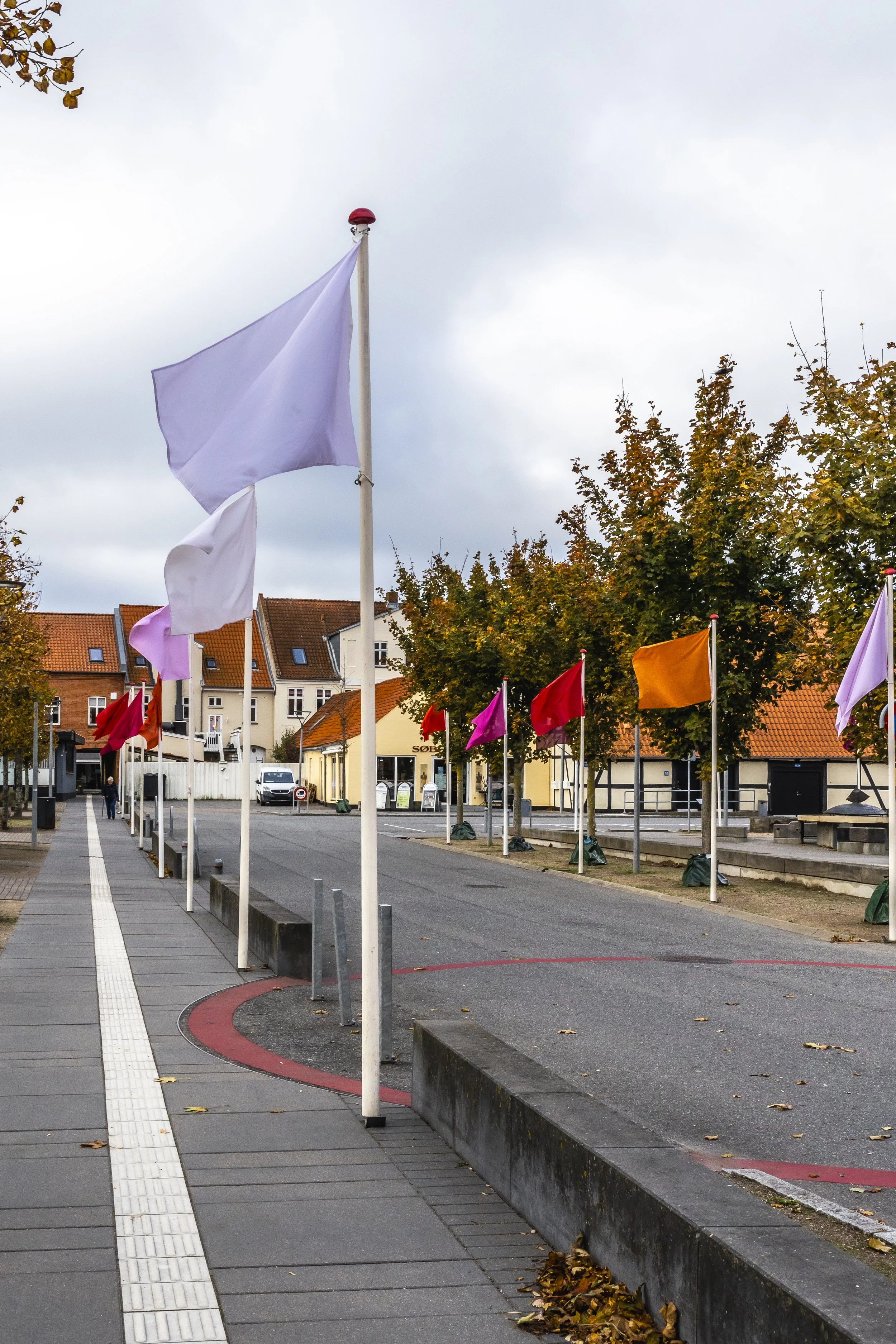 flags for open horizons 10.jpg