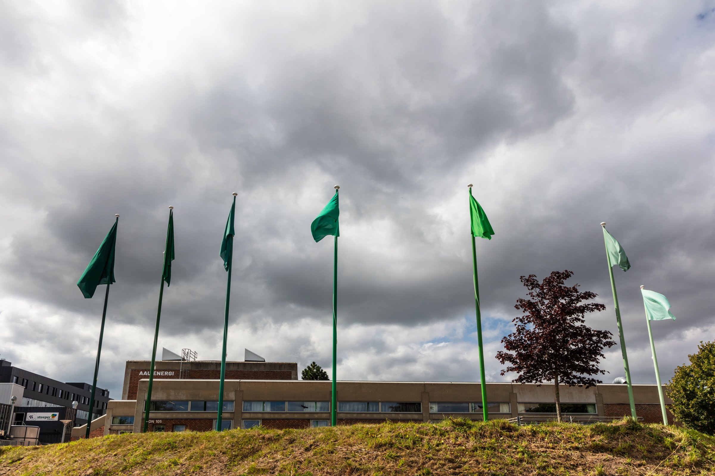 flags of knowledge 6.jpg