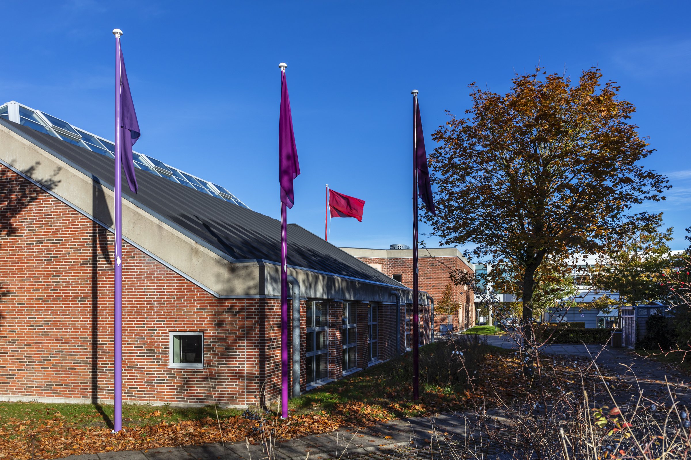 flags of knowledge 22.jpg