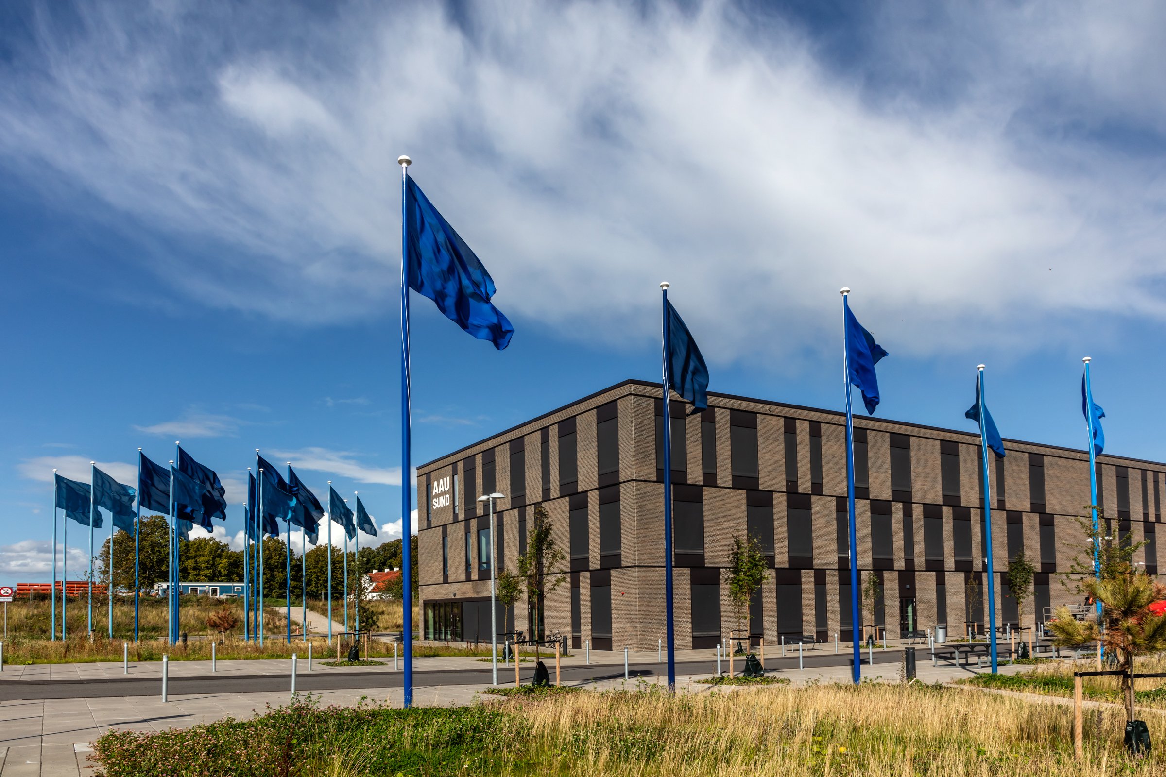 flags of knowledge 15.jpg