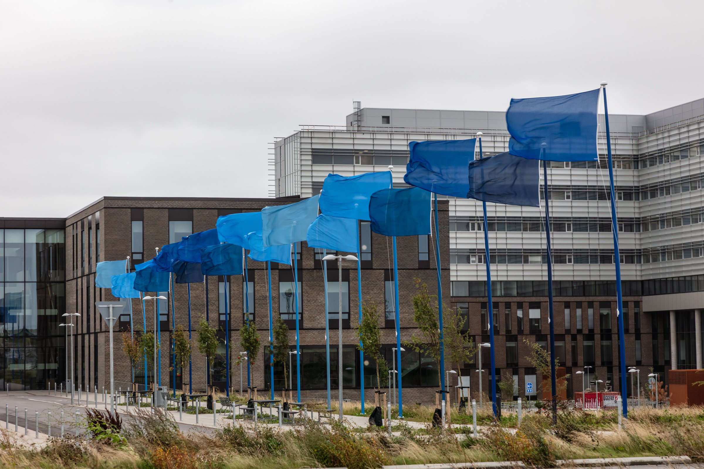 flags of knowledge.jpg
