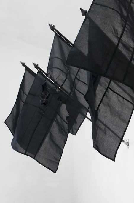 espalier of flags 4.jpg