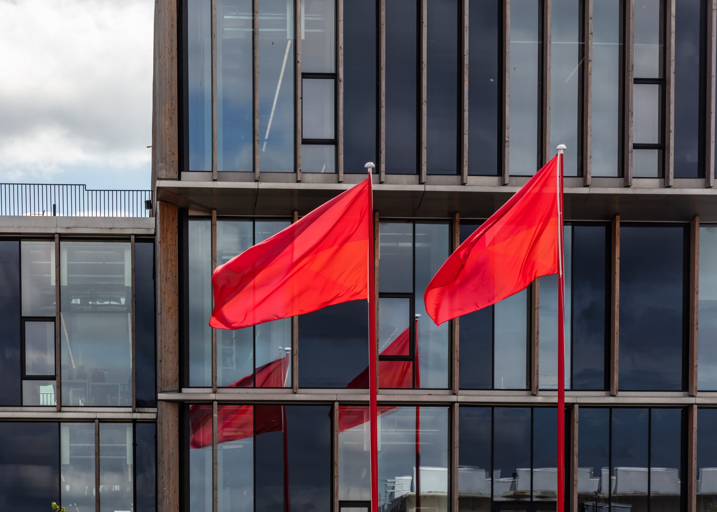 flags of knowledge 11.jpg
